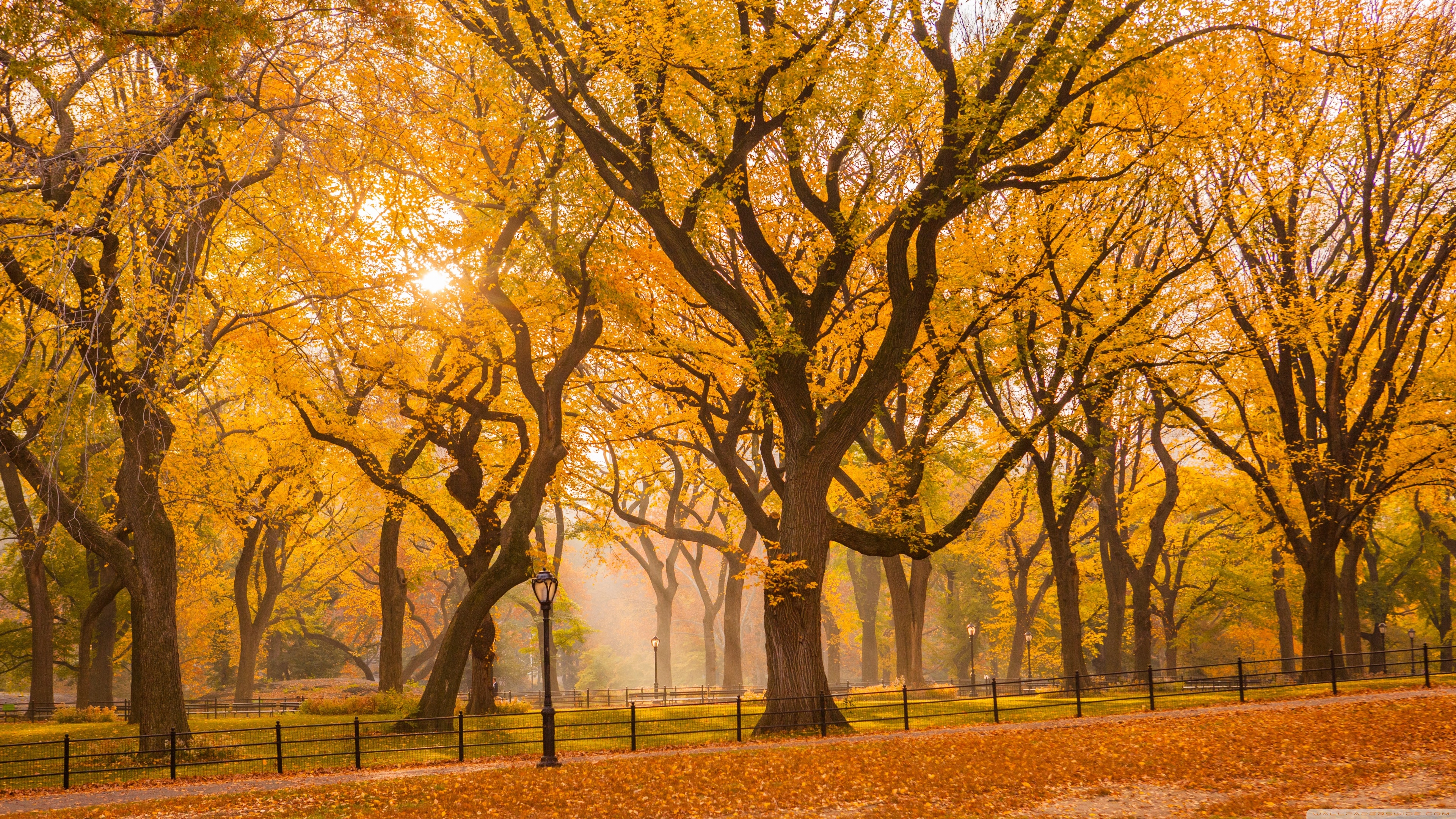 Central Park Fall Foliage 4K UHD Wallpaper for UltraHD Desktop and TV, Widescreen and UltraWide Display, Smartphone and Tablet Devices