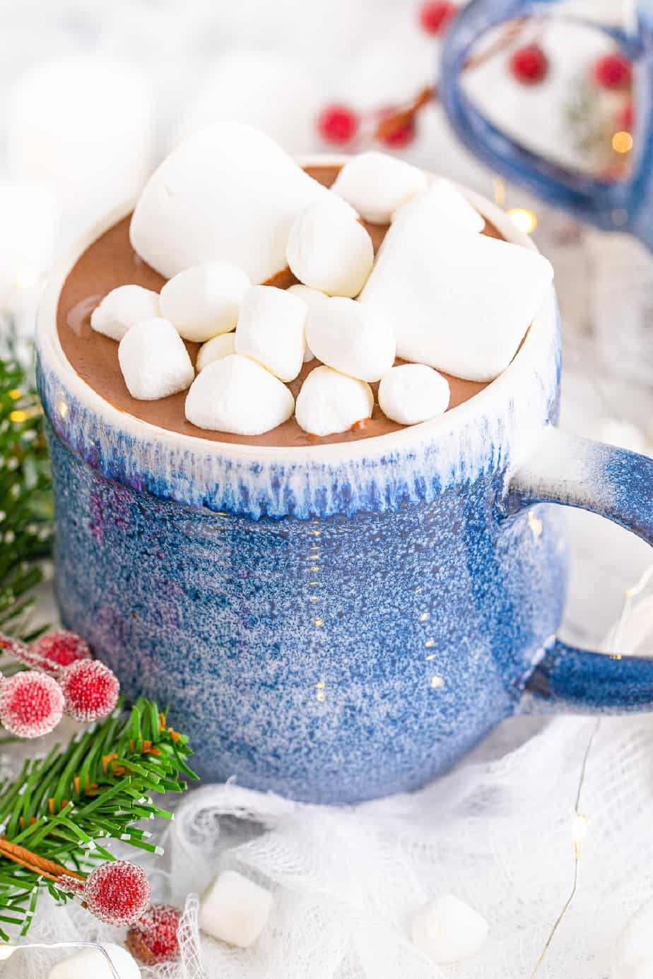 Slow Cooker Hot Chocolate Story My Kids Plate