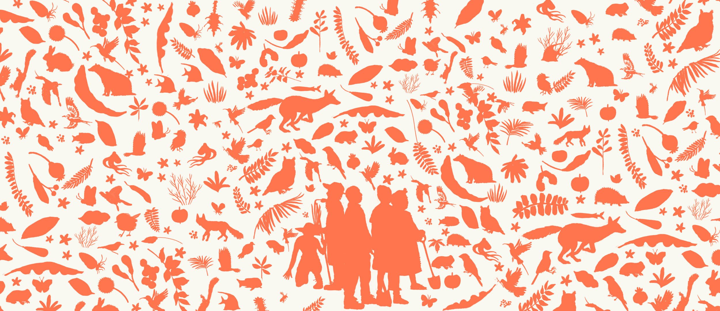 Why Do We Need Biodiverse Forest Ecosystems to Combat Climate Change?