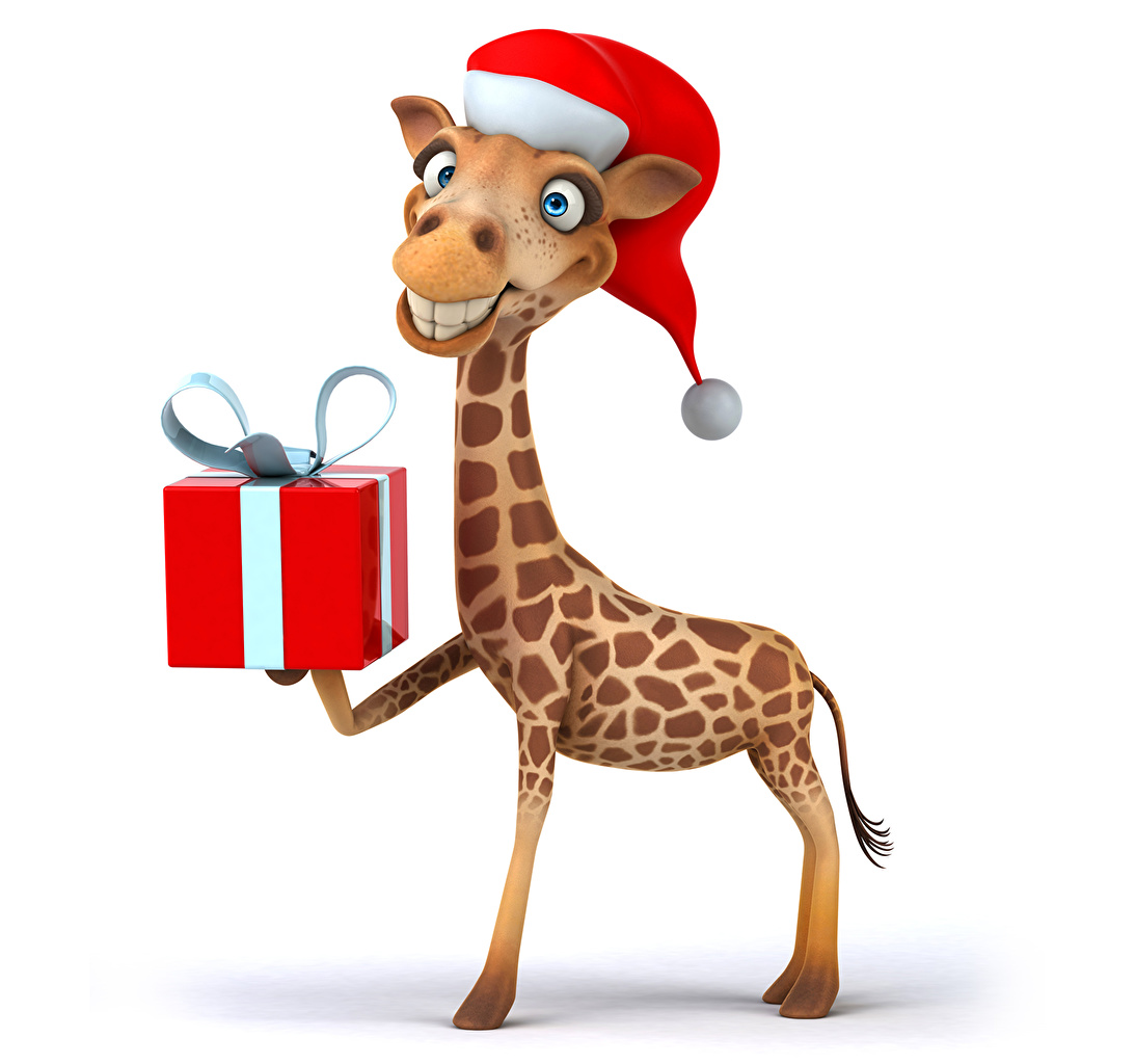 Picture Giraffes Christmas Smile Winter hat Gifts Animals White