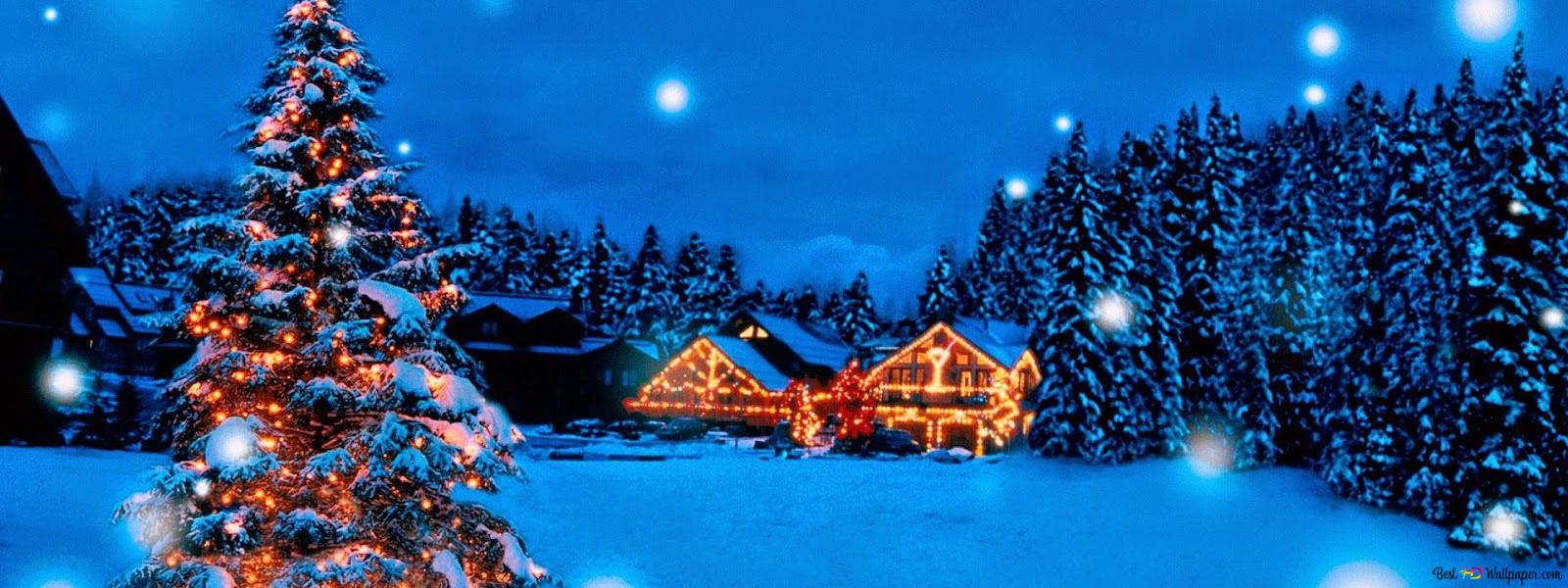 Xmas tree with colourful lights in winter night HD wallpaper download