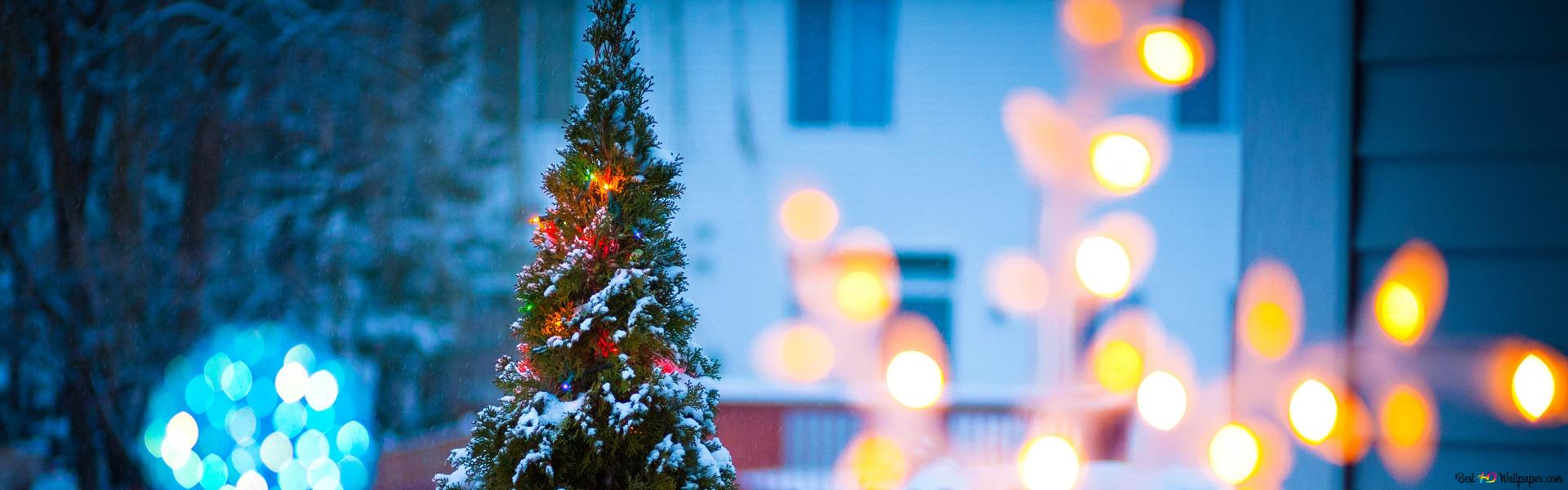 Xmas evening tree lights 2K wallpaper download
