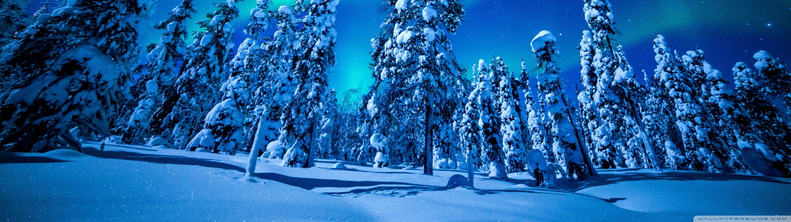 Northern Lights Over Forest, Winter 4K UHD Wallpaper for UltraHD Desktop and TV, Dual Monitor, Smartphone and Tablet Devices