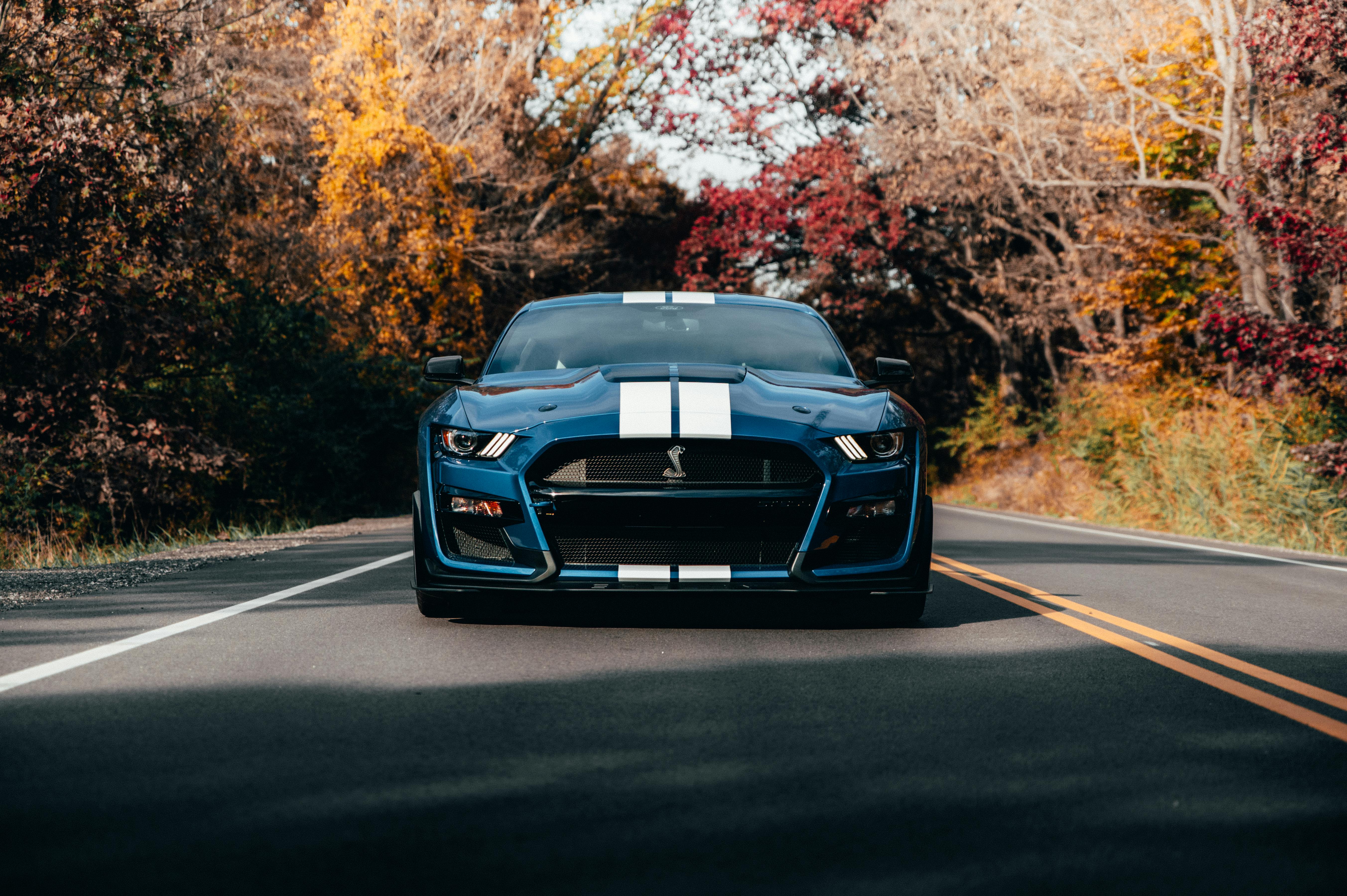Photo of Blue Mustang on Road · Free
