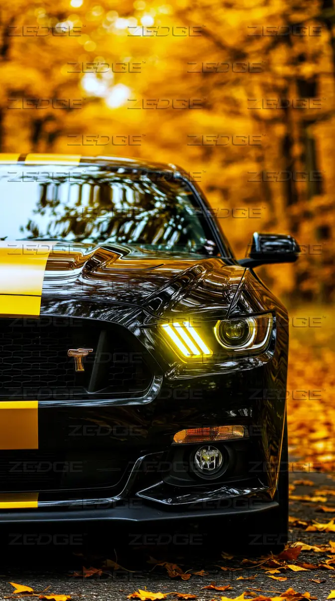 Ford Mustang GT Autumn Forest wallpaper