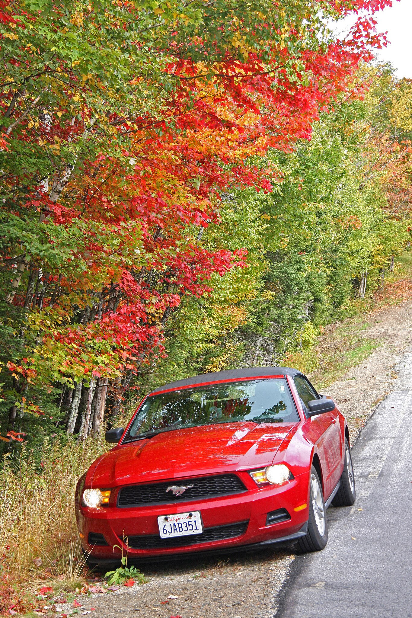 Ford Mustang in Nicely Coloured Fall Foliage in New Hampshire