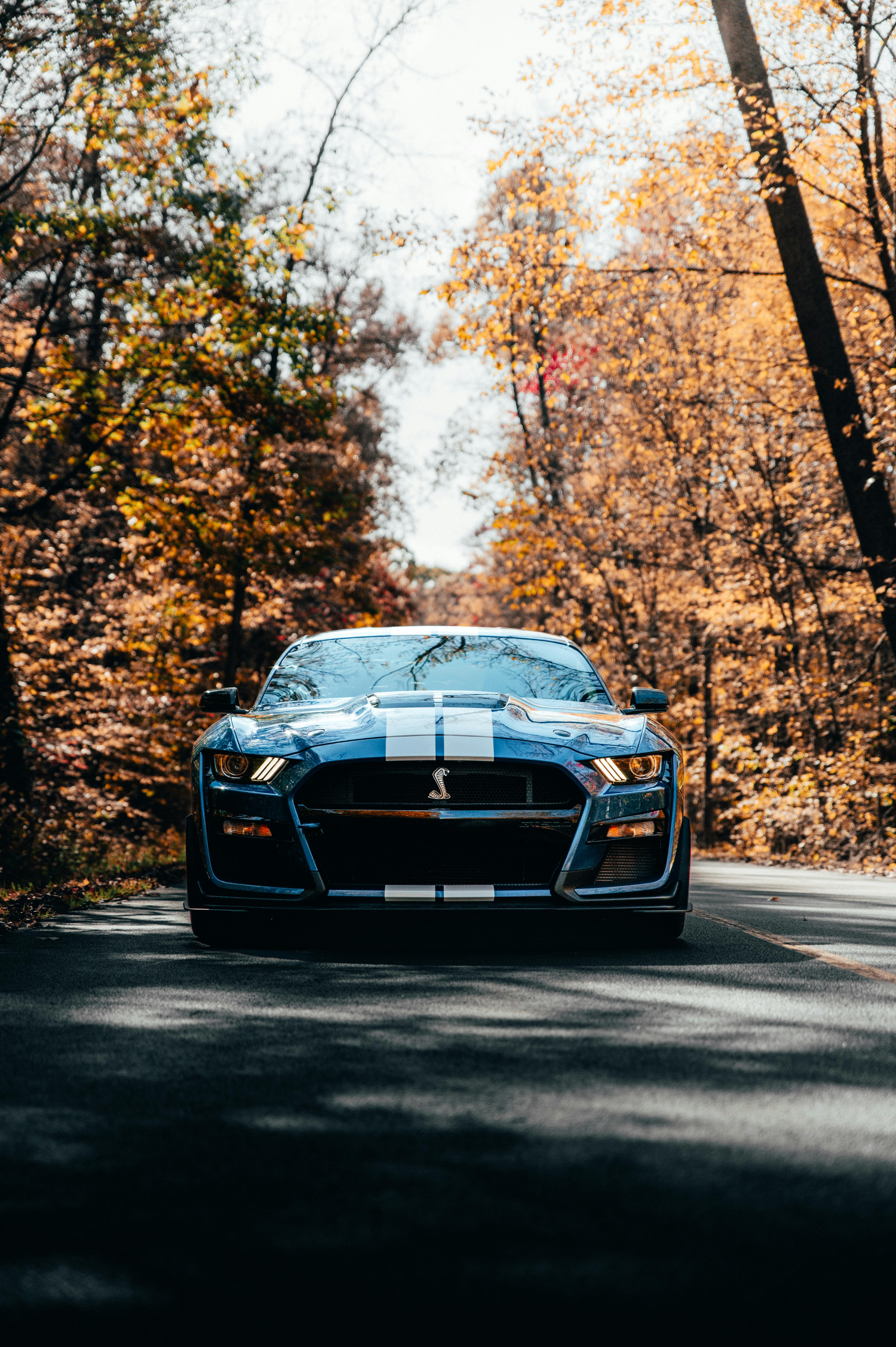 Photo of a Blue Muscle Car · Free