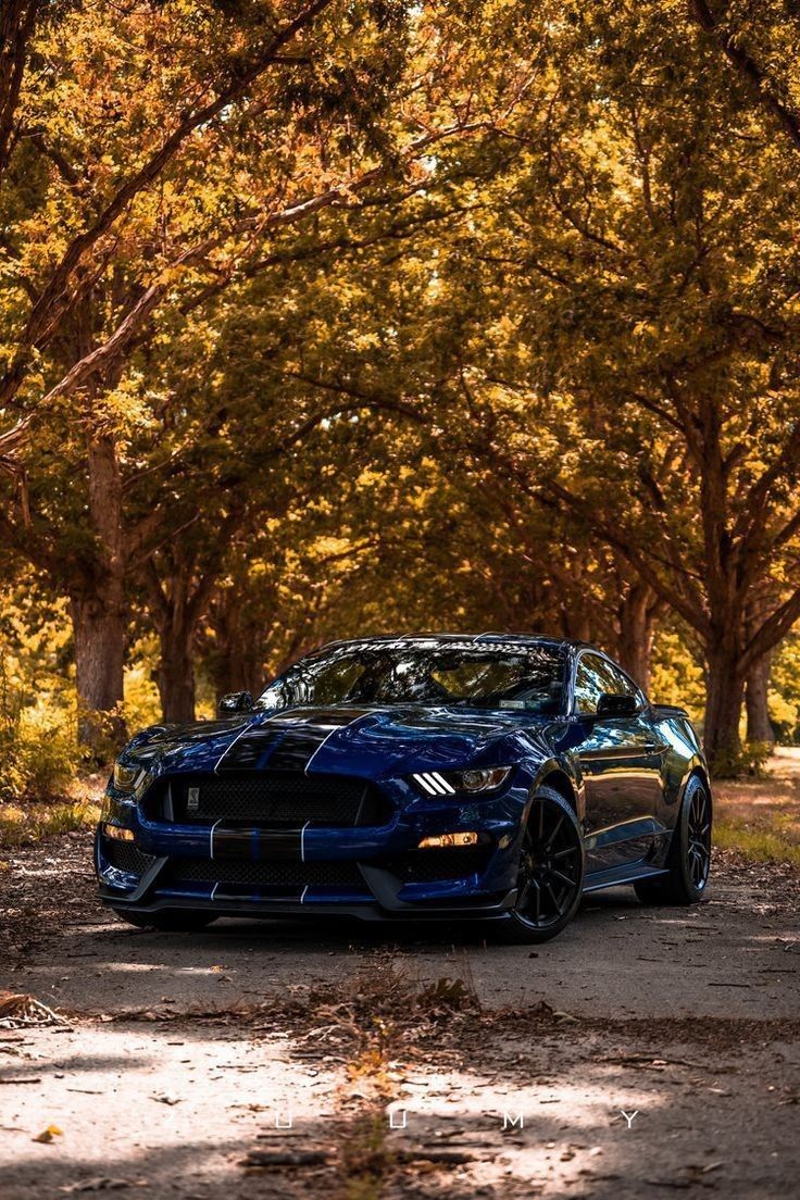 Ford Mustang Car Parked on Road