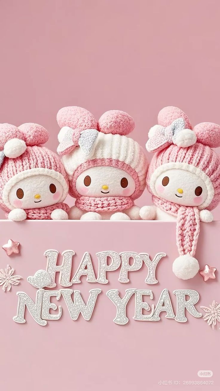 Happy Happy New Year ❤️