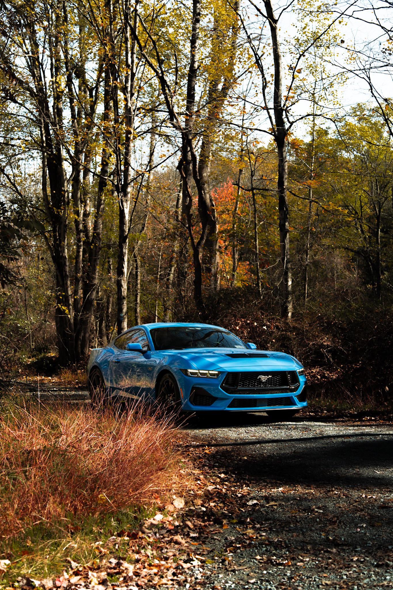 Fall Foliage drive in the GT