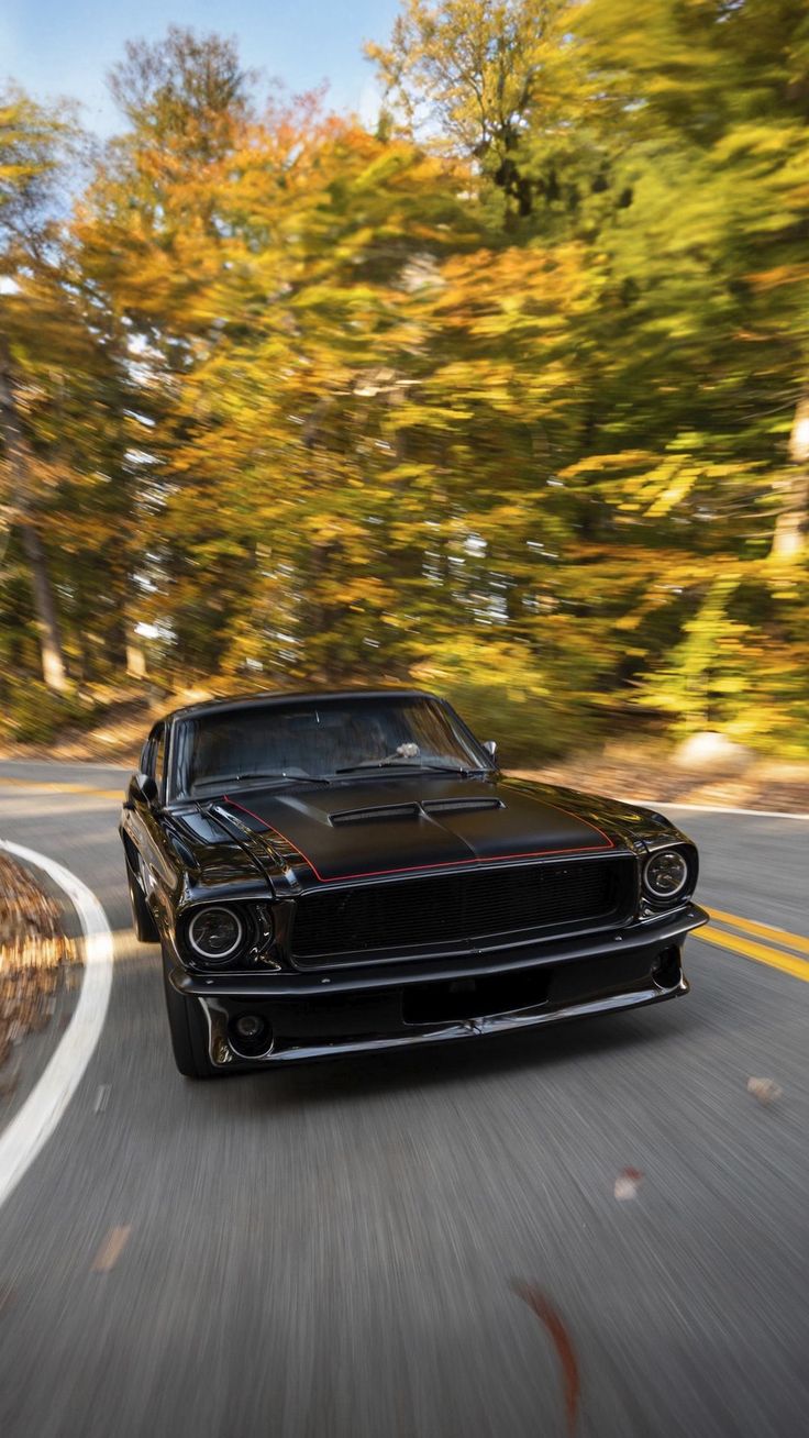 Wallpaper ford mustang, muscle car, car, black, speed, road, trees, forest, Cars 4K by ▫️◽QHD◽▫️. Download wallpaper ford mustang, muscle car, car, black, speed, road, trees, forest for free