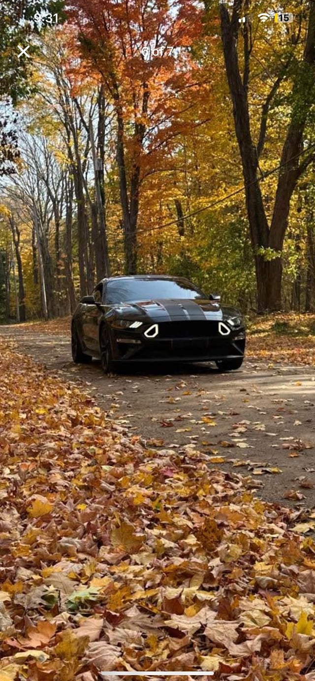 How much is this car worth 2019 mustang gt premium had digital dash has 66k miles will post pics