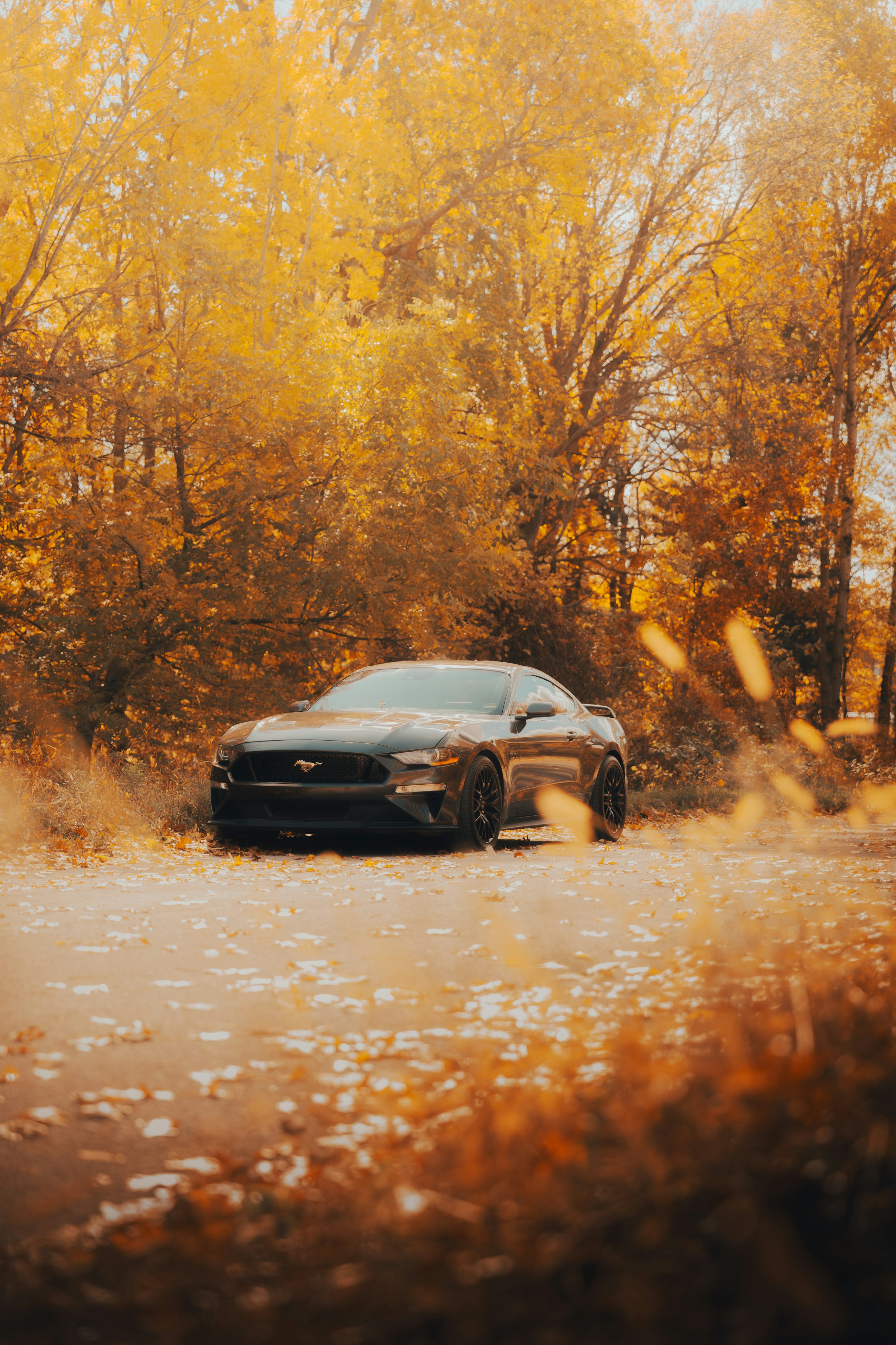 A Dark Car Parked On A Leaf Covered Road In Autumn. Photo