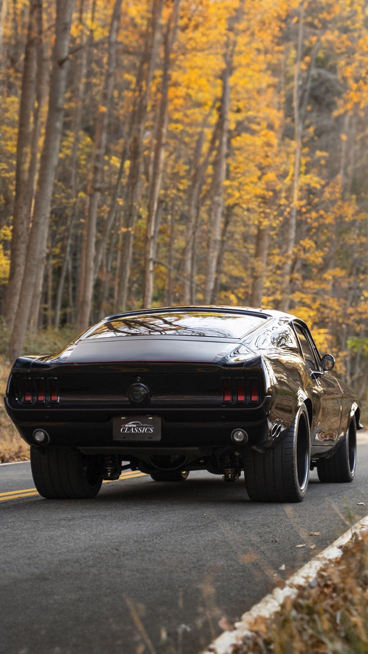 Wallpaper ford mustang, muscle car, car, black, rear view, road, trees, forest, Cars 4K by ▫️◽QHD◽▫️. Download wallpaper ford mustang, muscle car, car, black, rear view, road, trees, forest for free