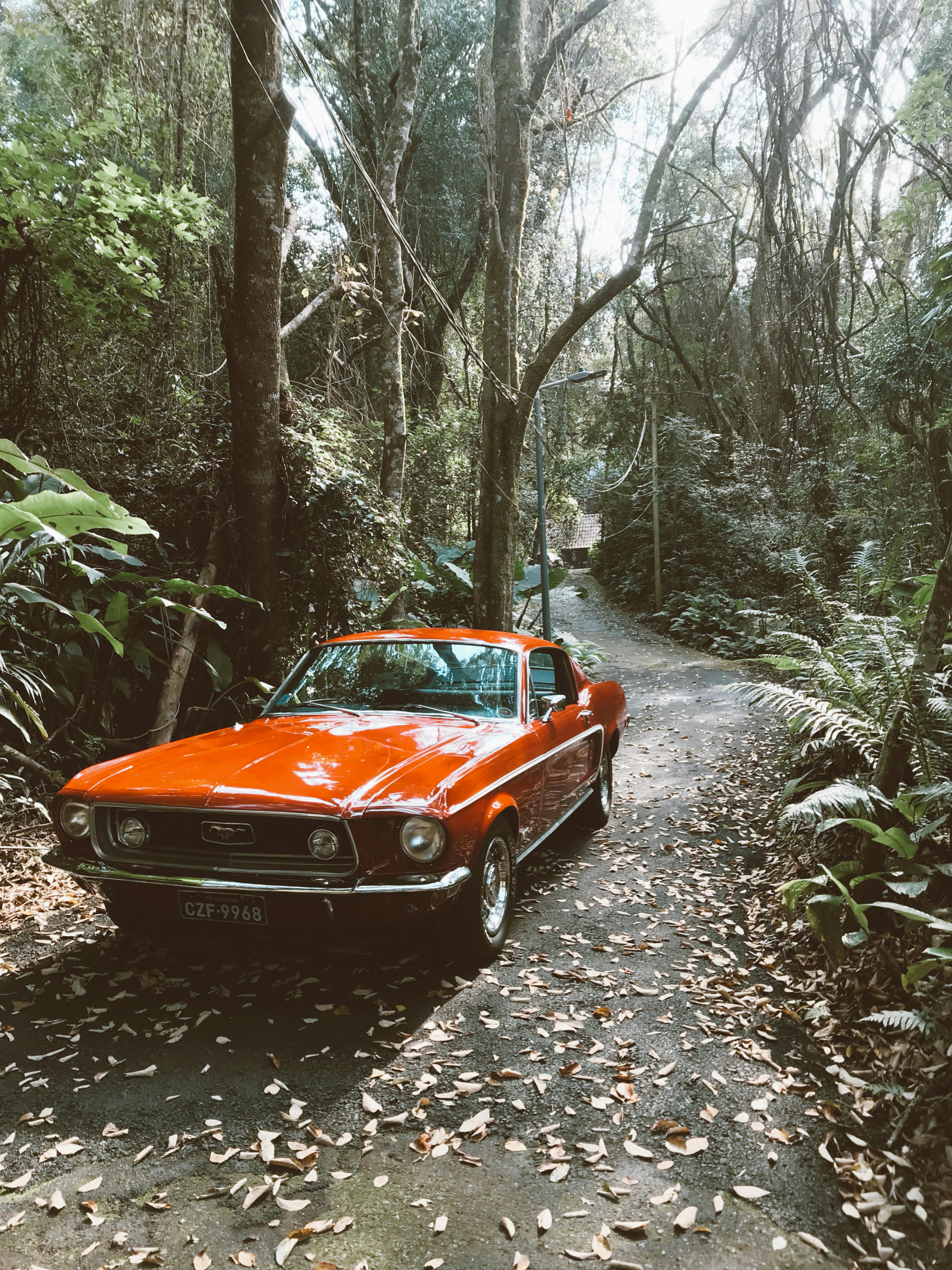 Red and Black Ford Mustang · Free