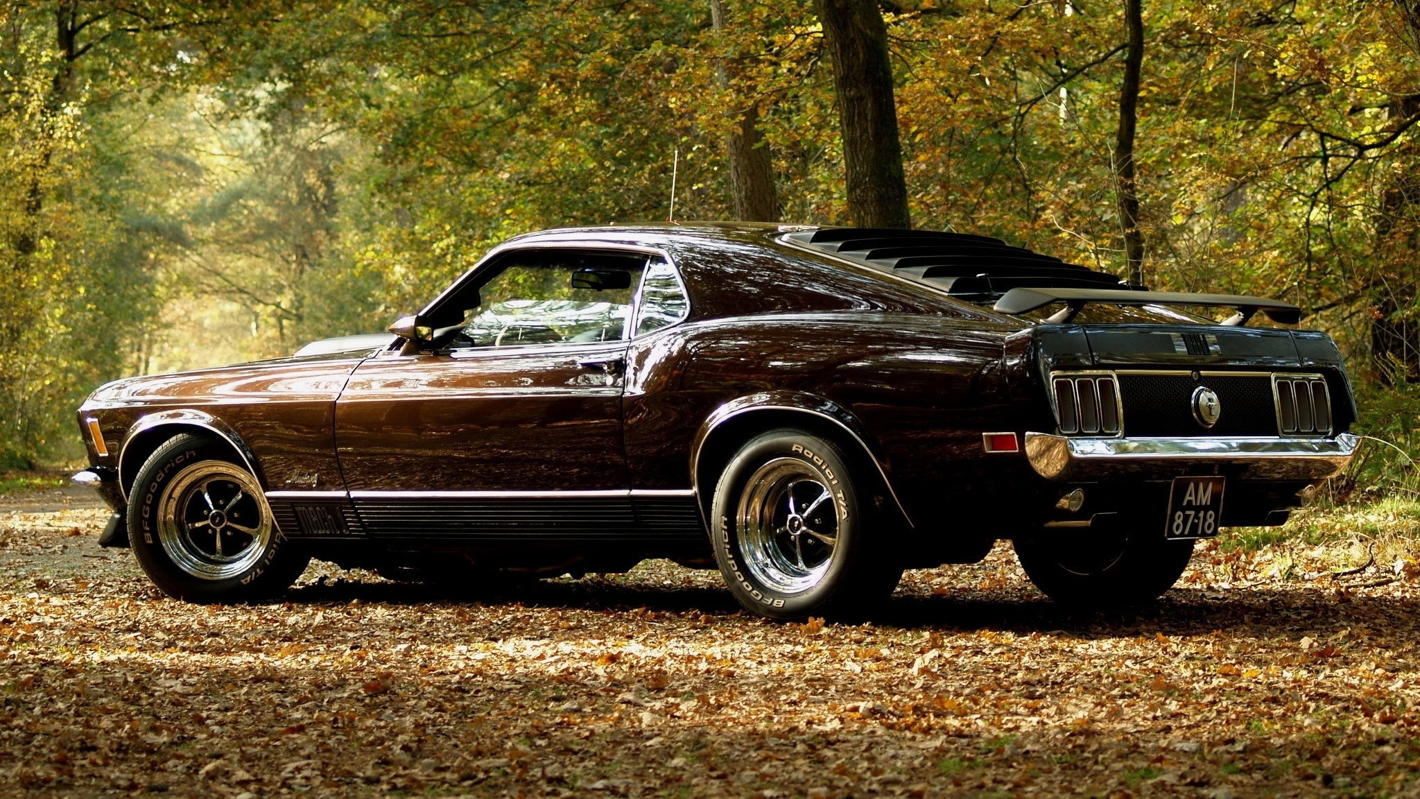 vehicles, Cars, Ford, Mustang, Boss, Spoiler, Wings, Wheels, Shine, Muscle, Old, Retro, Classic, Landscapes, Leaves, Trees, Forest, Autumn, Fall, Seasons, Roads, Street Wallpaper HD / Desktop and Mobile Background