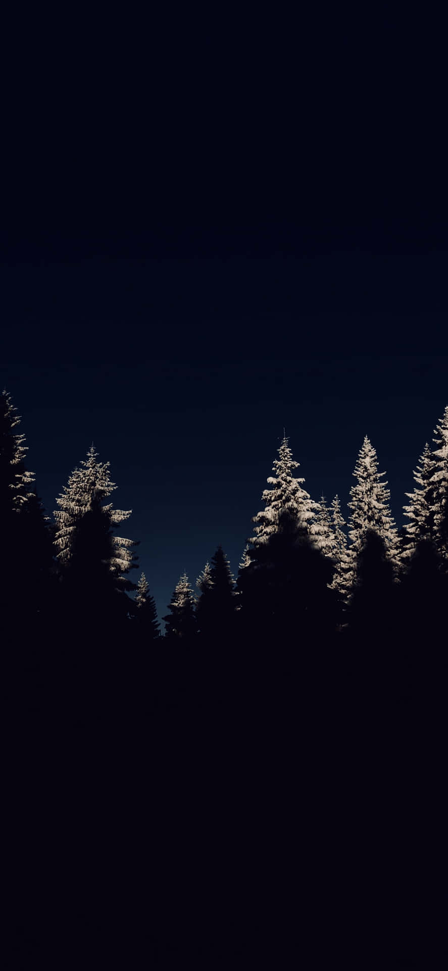 Download Midnight Snowy Pines Dark Christmas Wallpaper