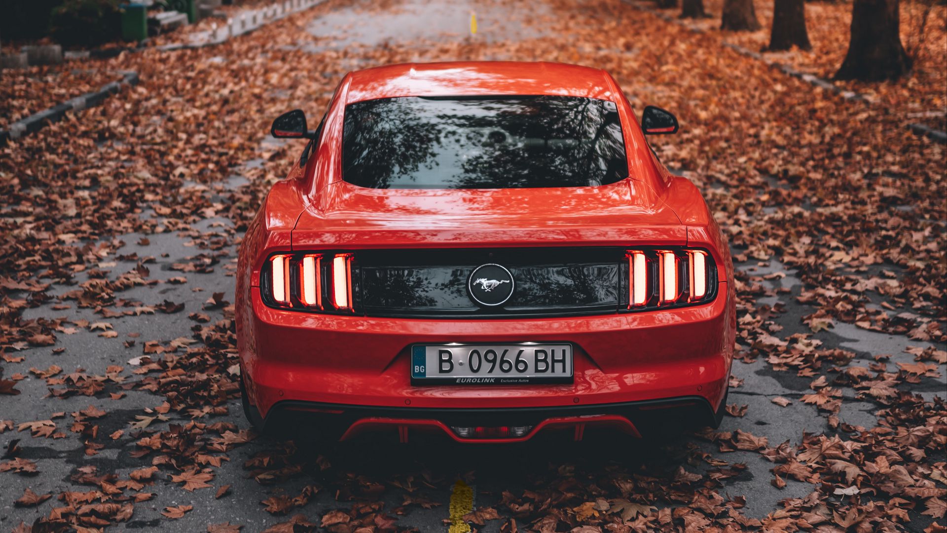 Download wallpaper 1920x1080 ford mustang, ford, car, sports car, red, road, autumn full hd, hdtv, fhd, 1080p HD background