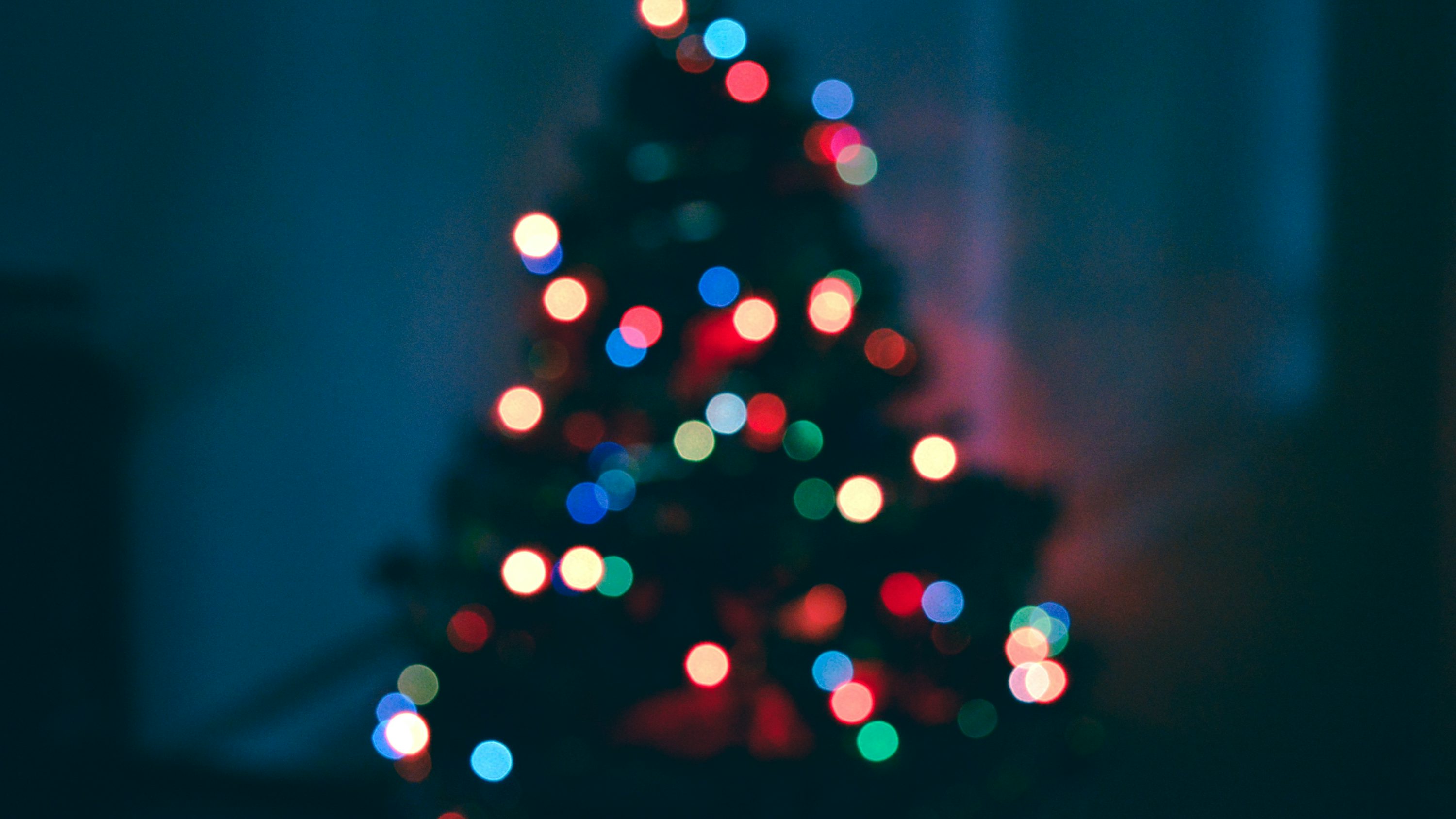 A lit christmas tree in a dark room photo