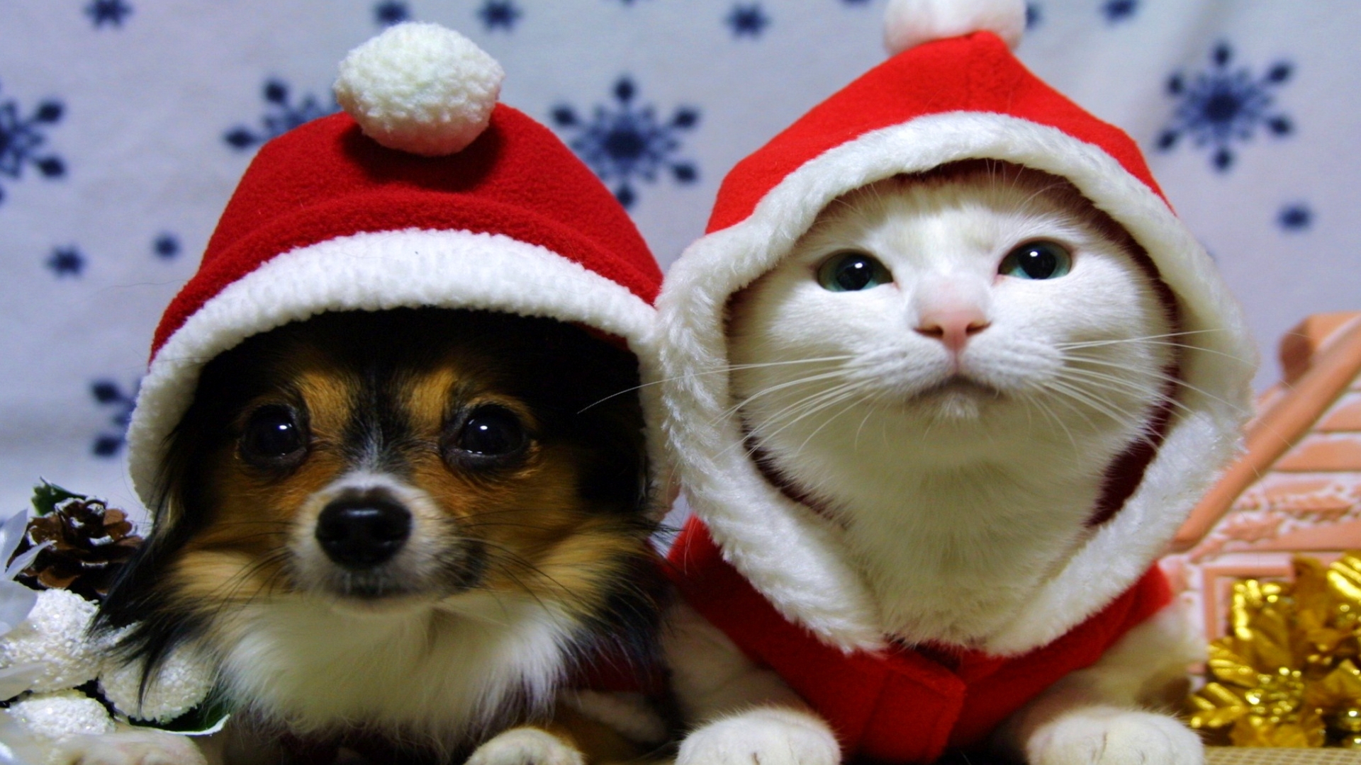 Desktop wallpaper: Christmas, Holiday, Cat, Dog, Santa Hat 4K free download for PC. 191787