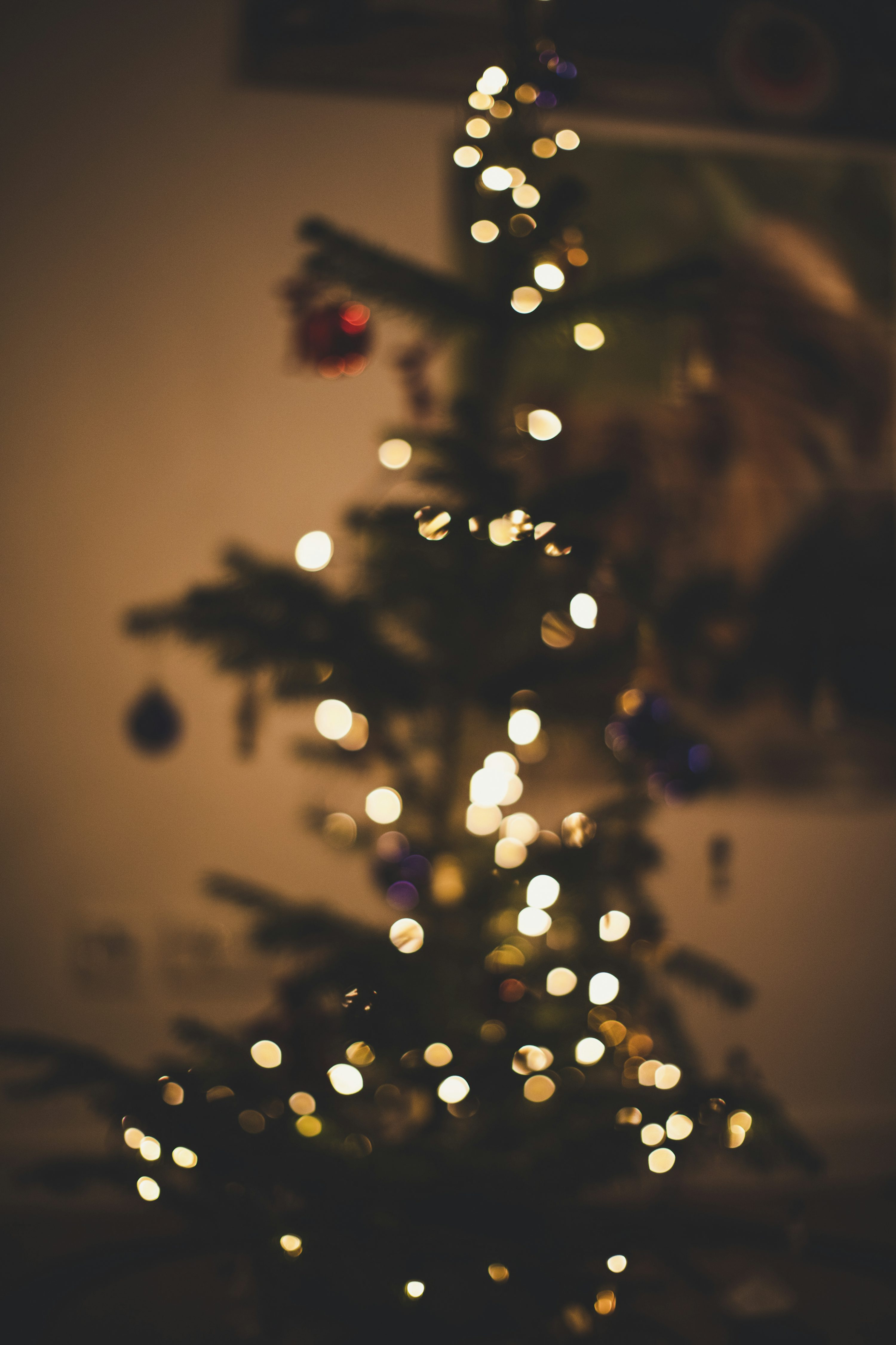 A small christmas tree is lit up in the dark photo