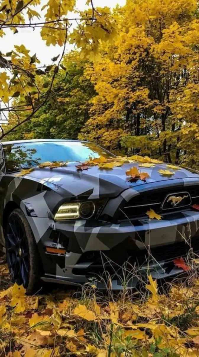 Ford Mustang wallpaper