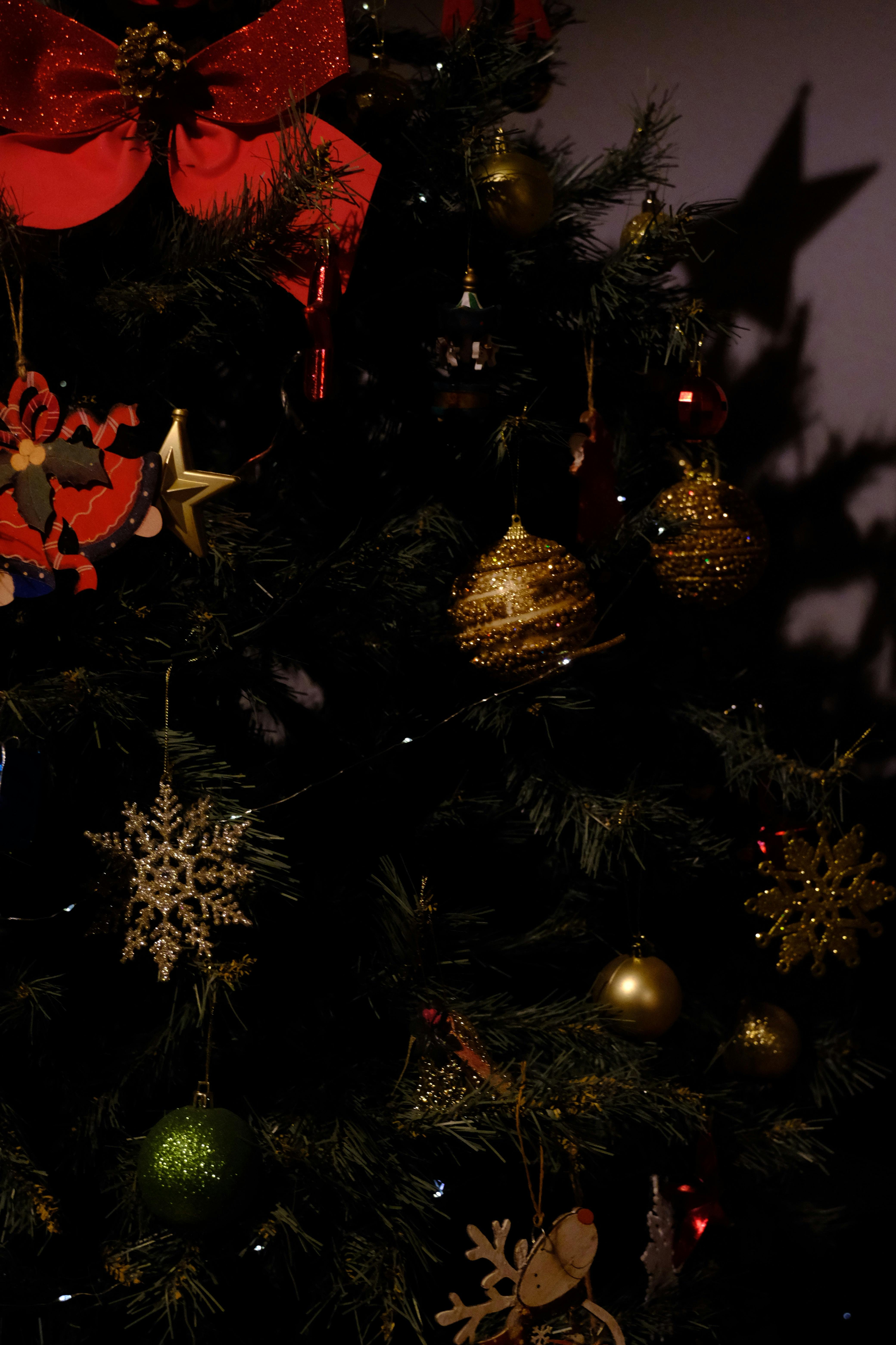 Green Christmas Tree With Red Baubles and String Lights · Free