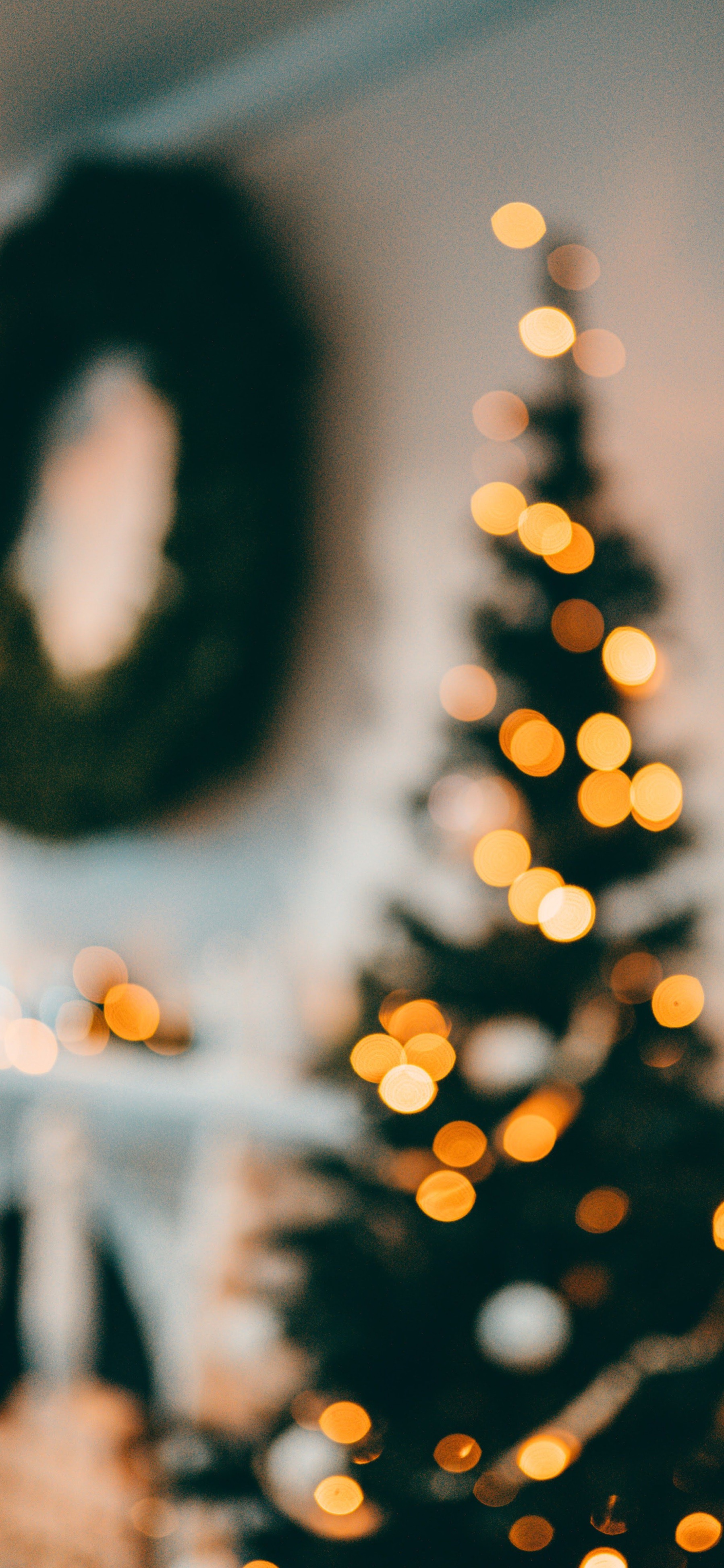 Wallpaper New Year, Christmas, Sunlight, Light, Plant, Background Free Image