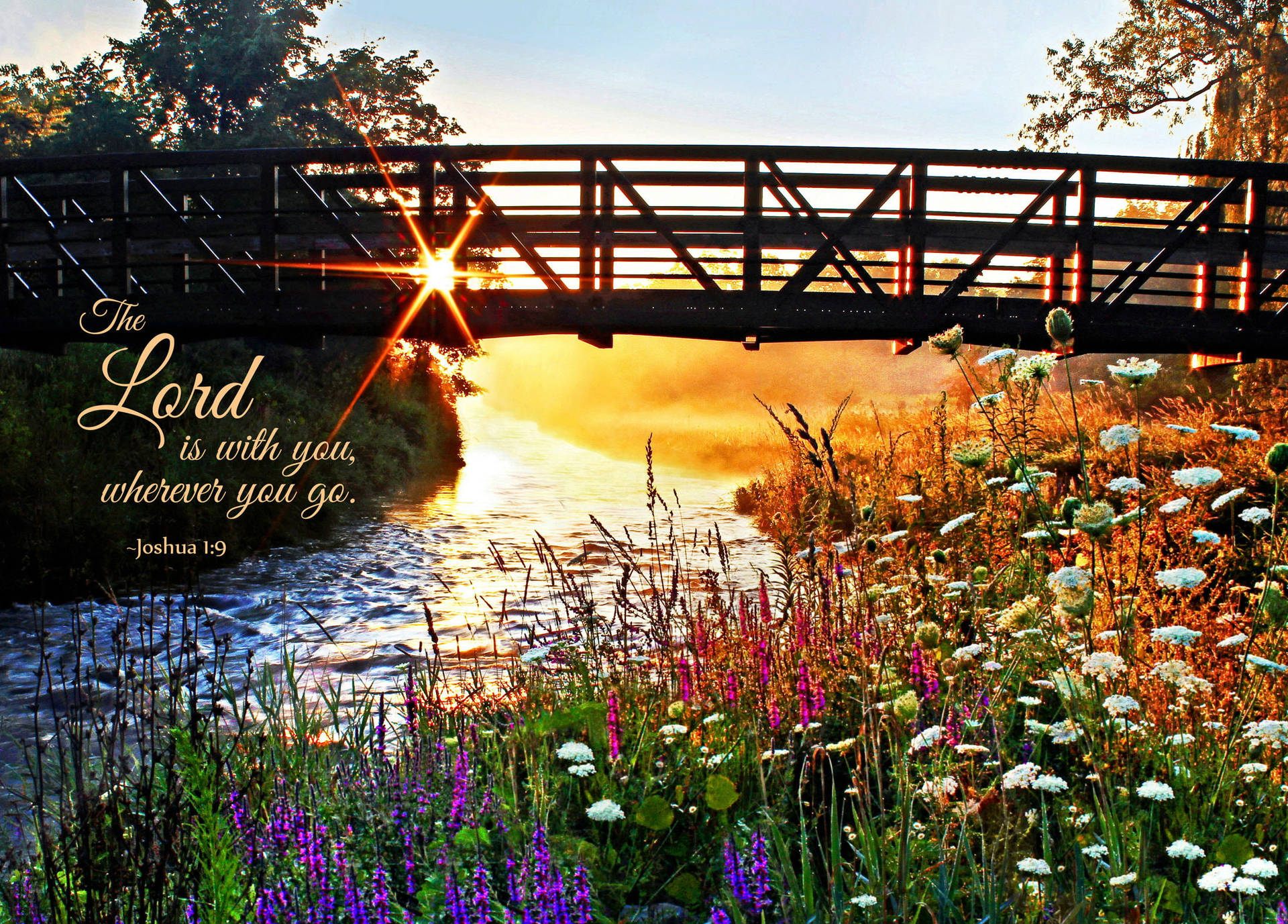 Bible Quotes Picture