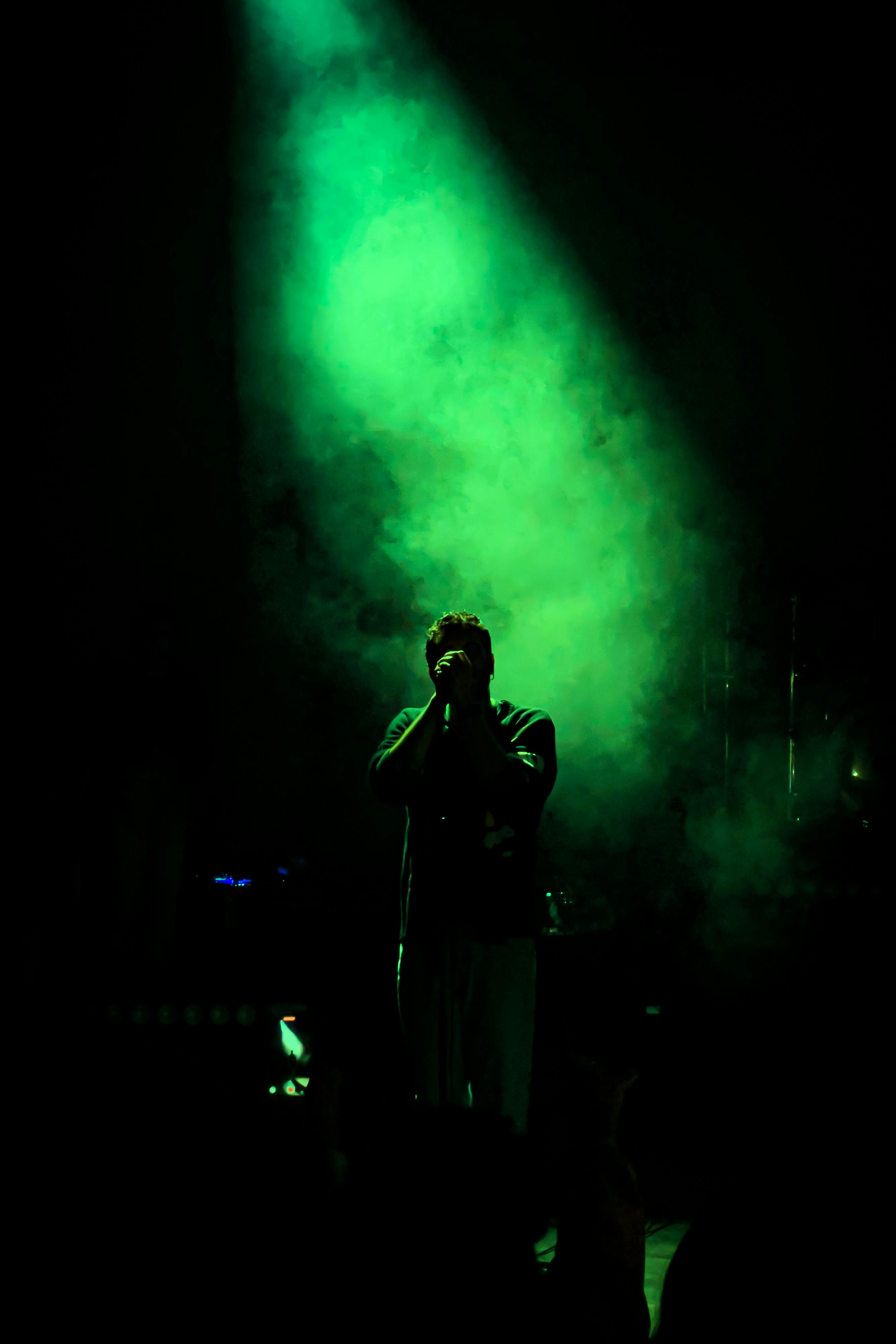 Singer Singing on Concert · Free