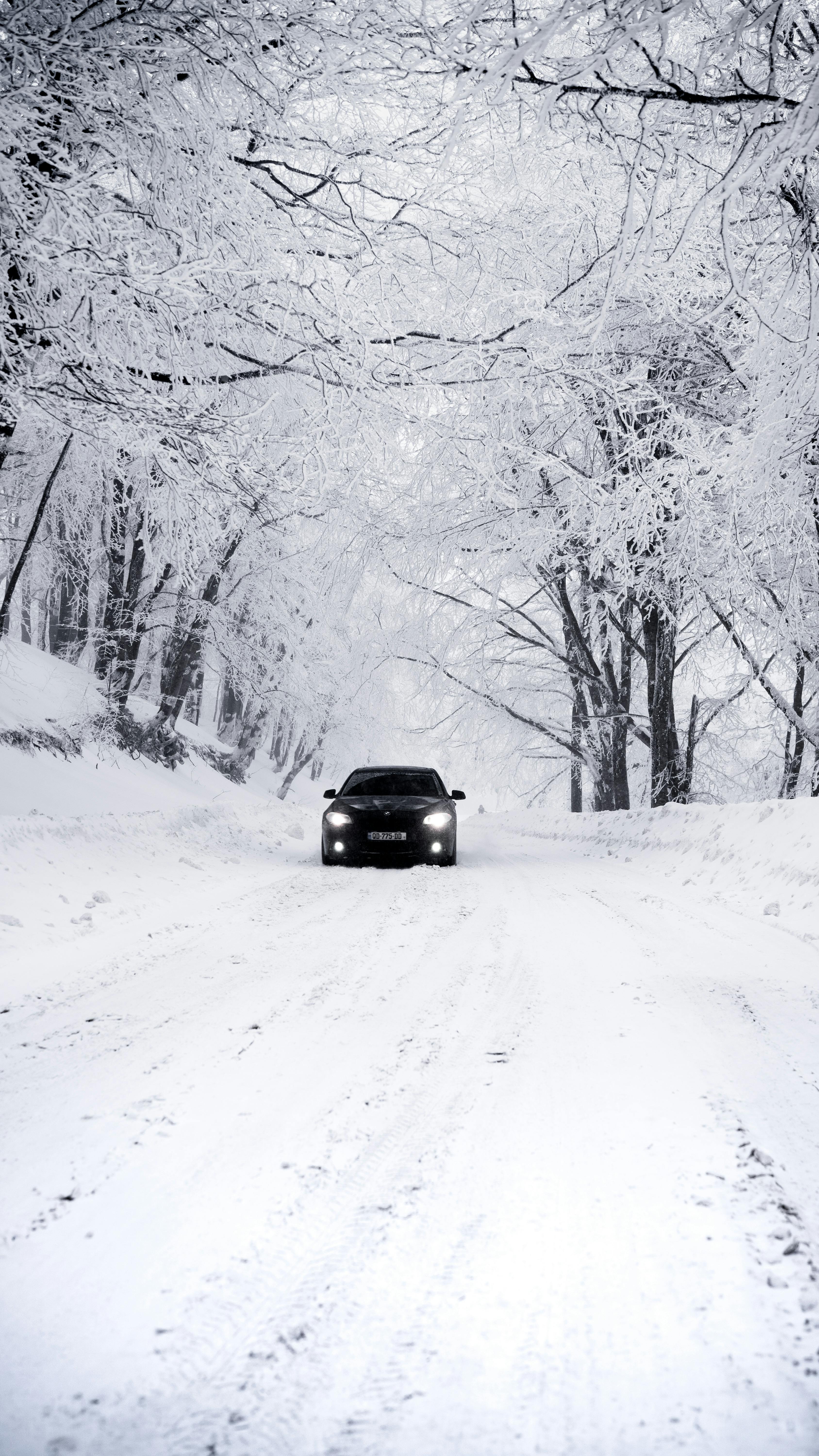 Winter Road with Car Driving Through Snowy Forest · Free
