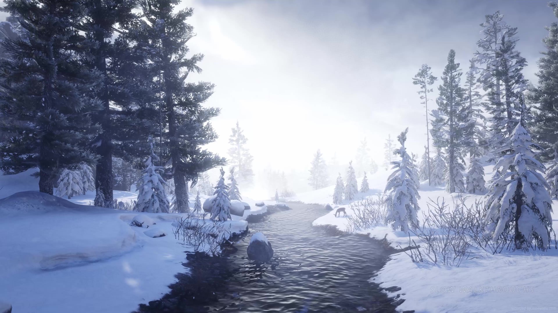 Red Dead Redemption 2 Live Wallpaper, Animated Wallpaper