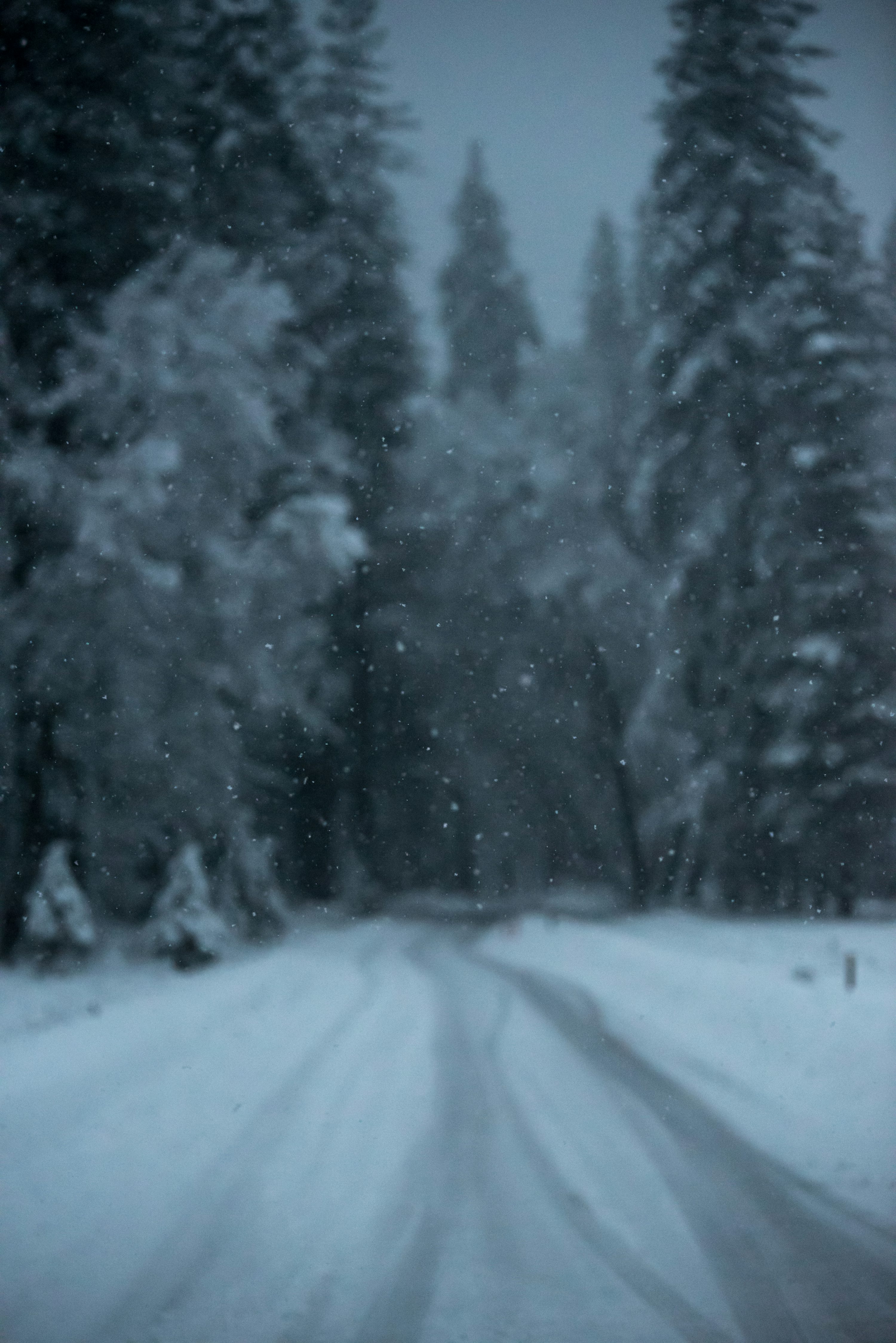 45,Dark Winter Picture. Download Free Image