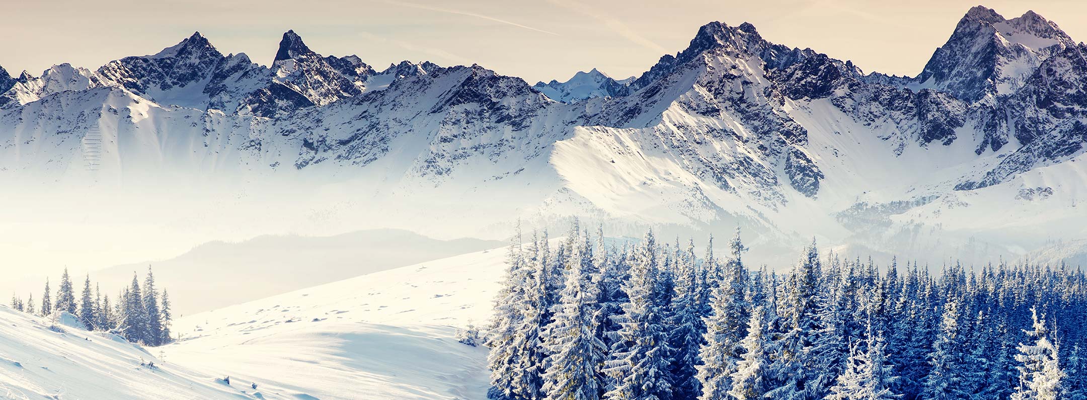 Serene Winter Mountain Landscape Mural Wallpaper in Cool Tones, Natural Scenic Design