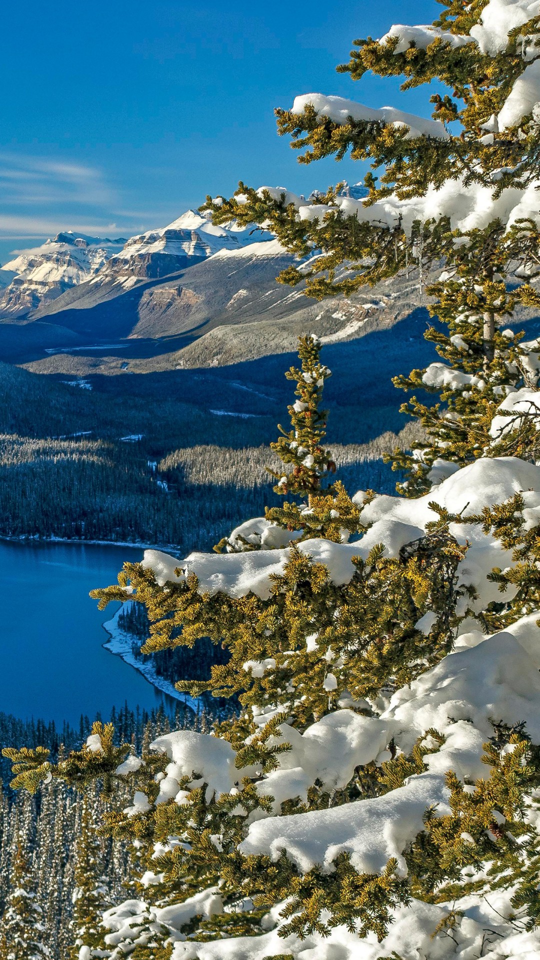 Landscape View Of River Between Green Trees With Snow Mountains Background Under Blue Sky 4K 5K HD Winter Wallpaper