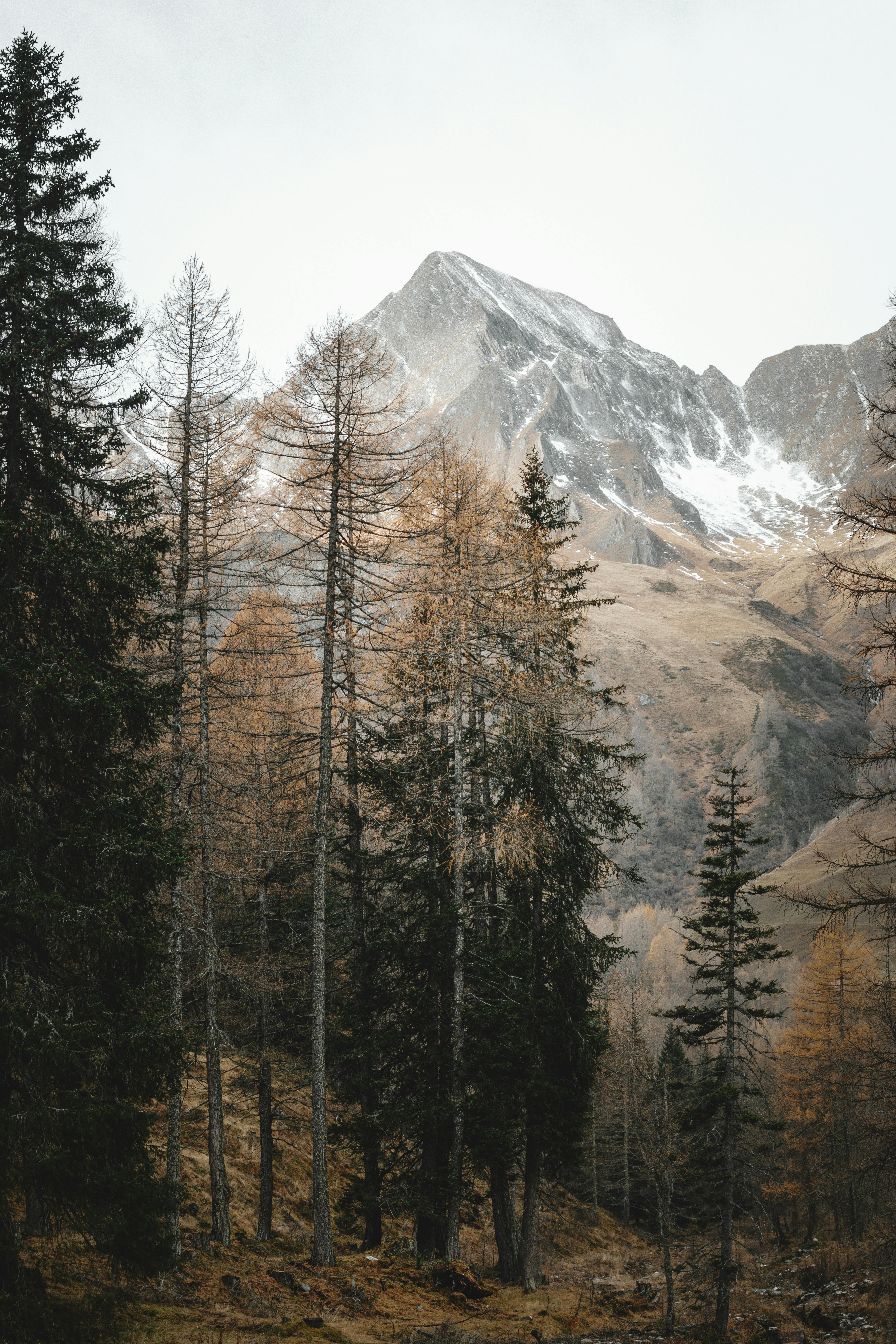Snow Peak Photo, Download The BEST Free Snow Peak & HD Image