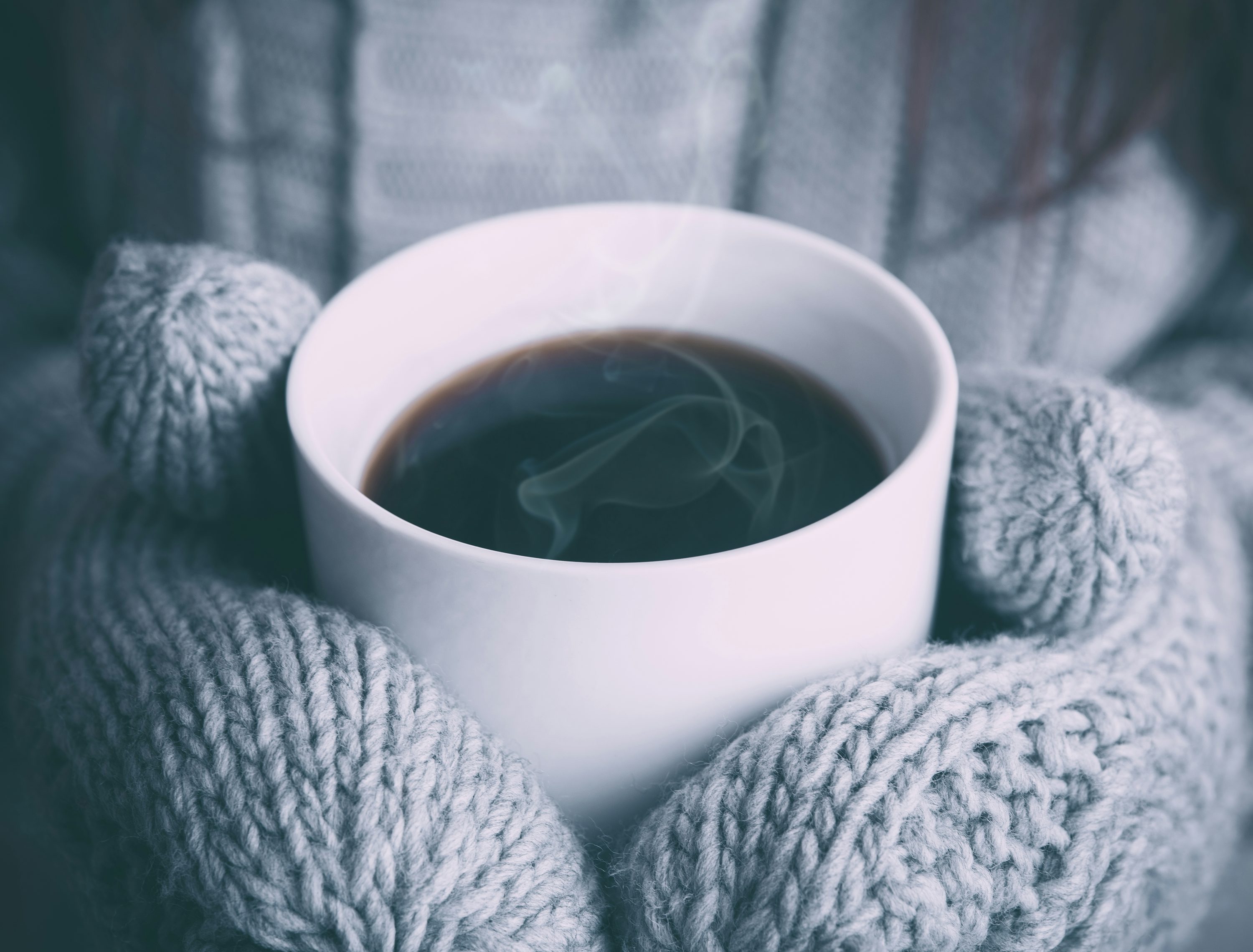Person holding white ceramic mug photo