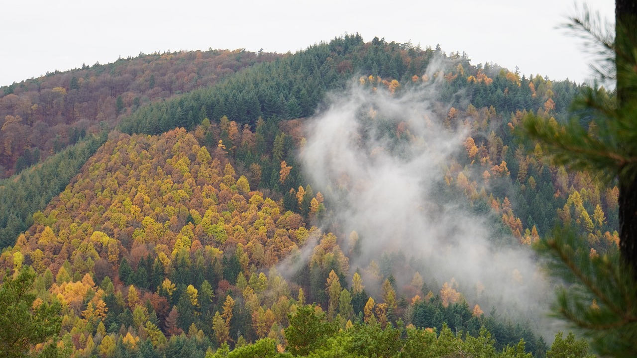 Fall Fog Mountains