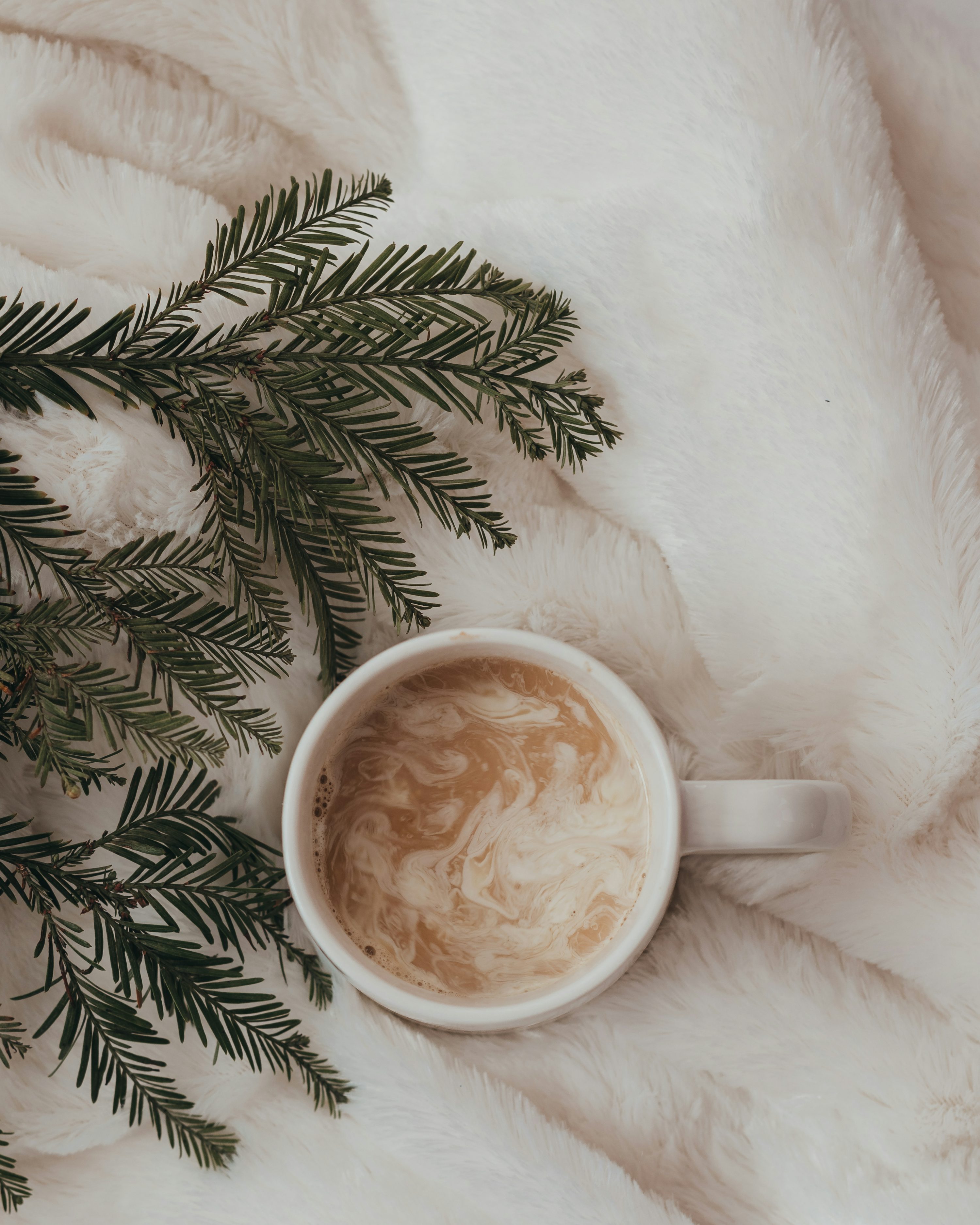 Winter Coffee Picture. Download Free Image