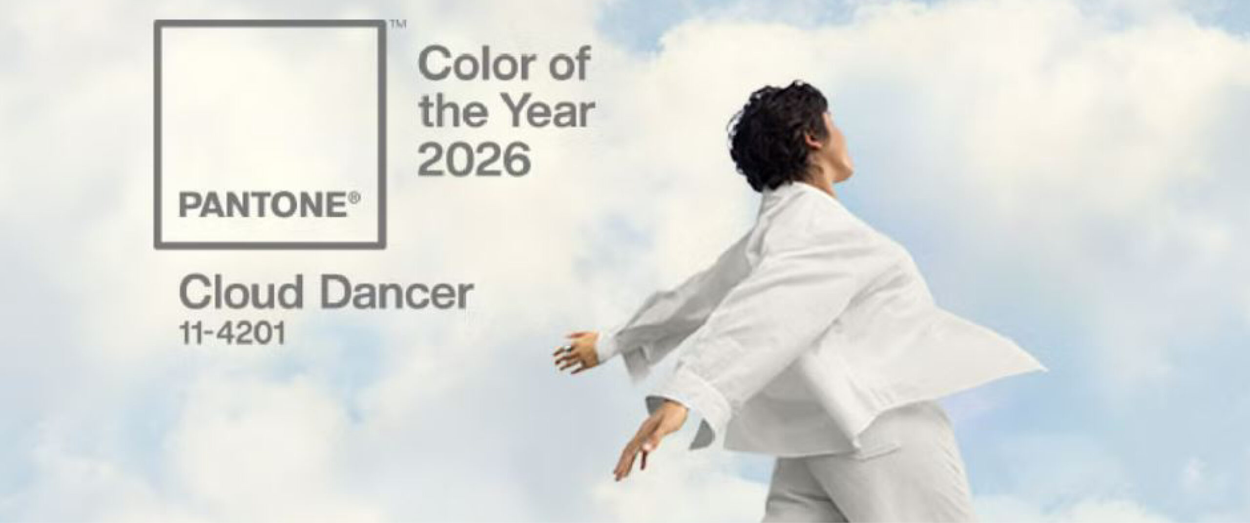 Irresistible Inspiration: Pantone Colour Of The Year 2026