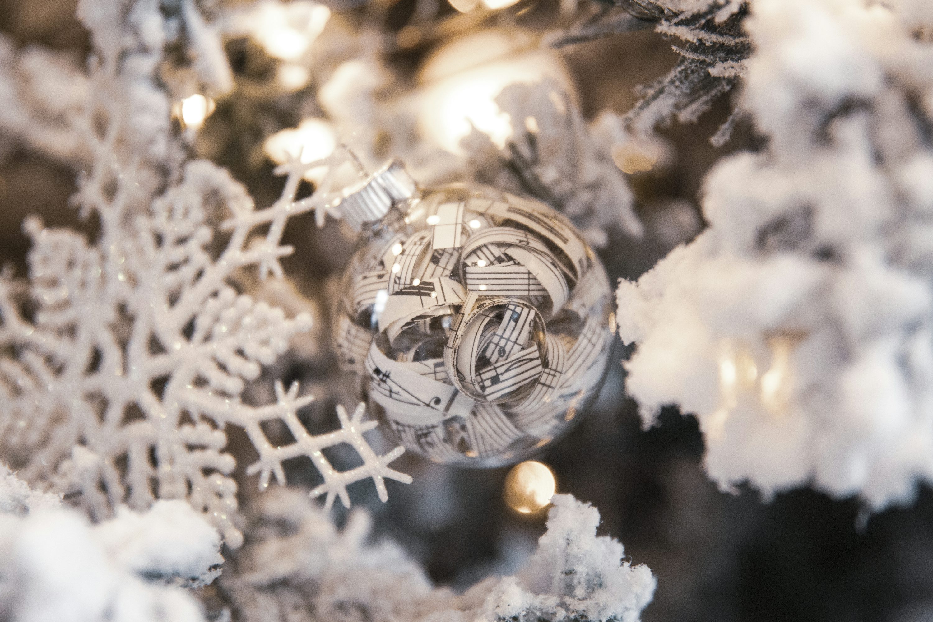 50,White Christmas Picture. Download Free Image