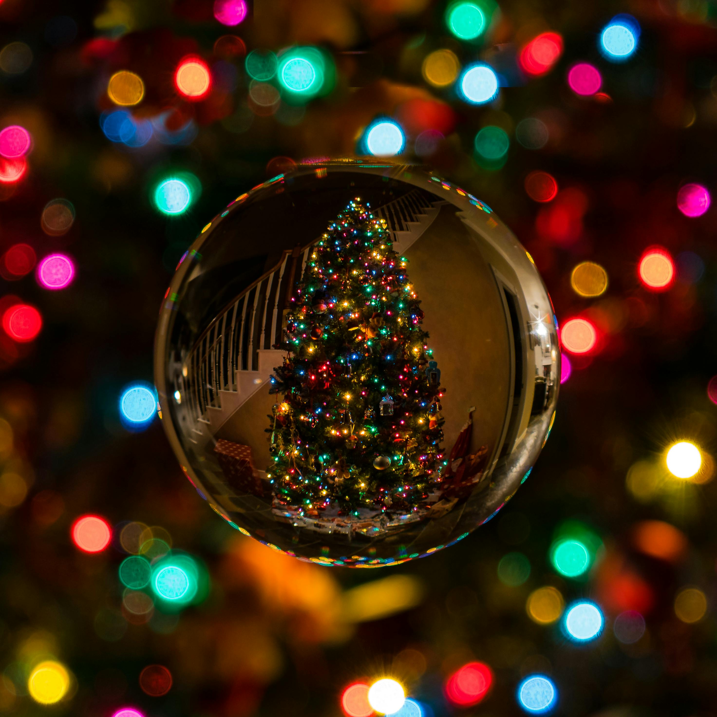 Glass Bauble Reflecting Christmas Tree · Free