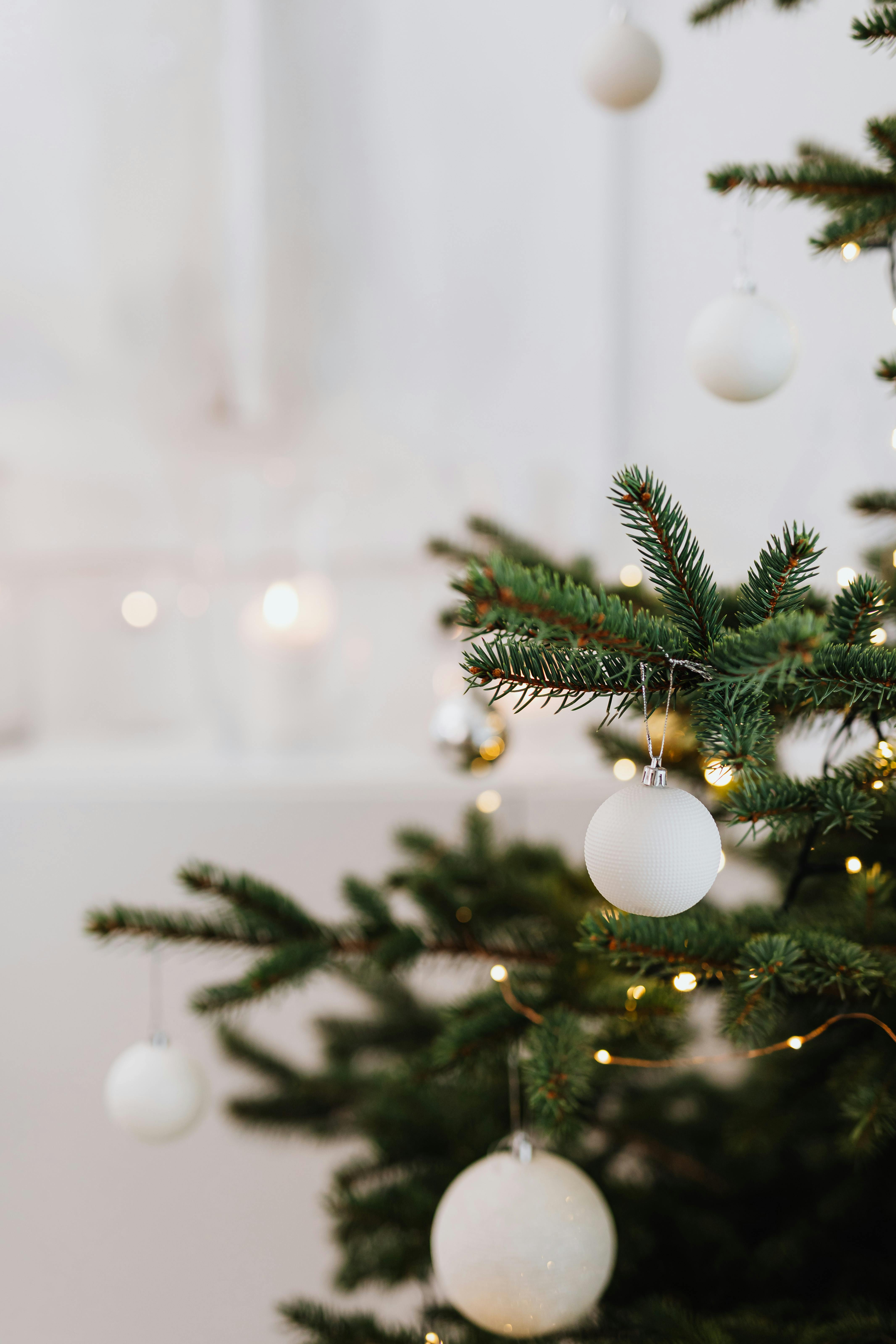 White Baubles on Green Christmas Tree · Free