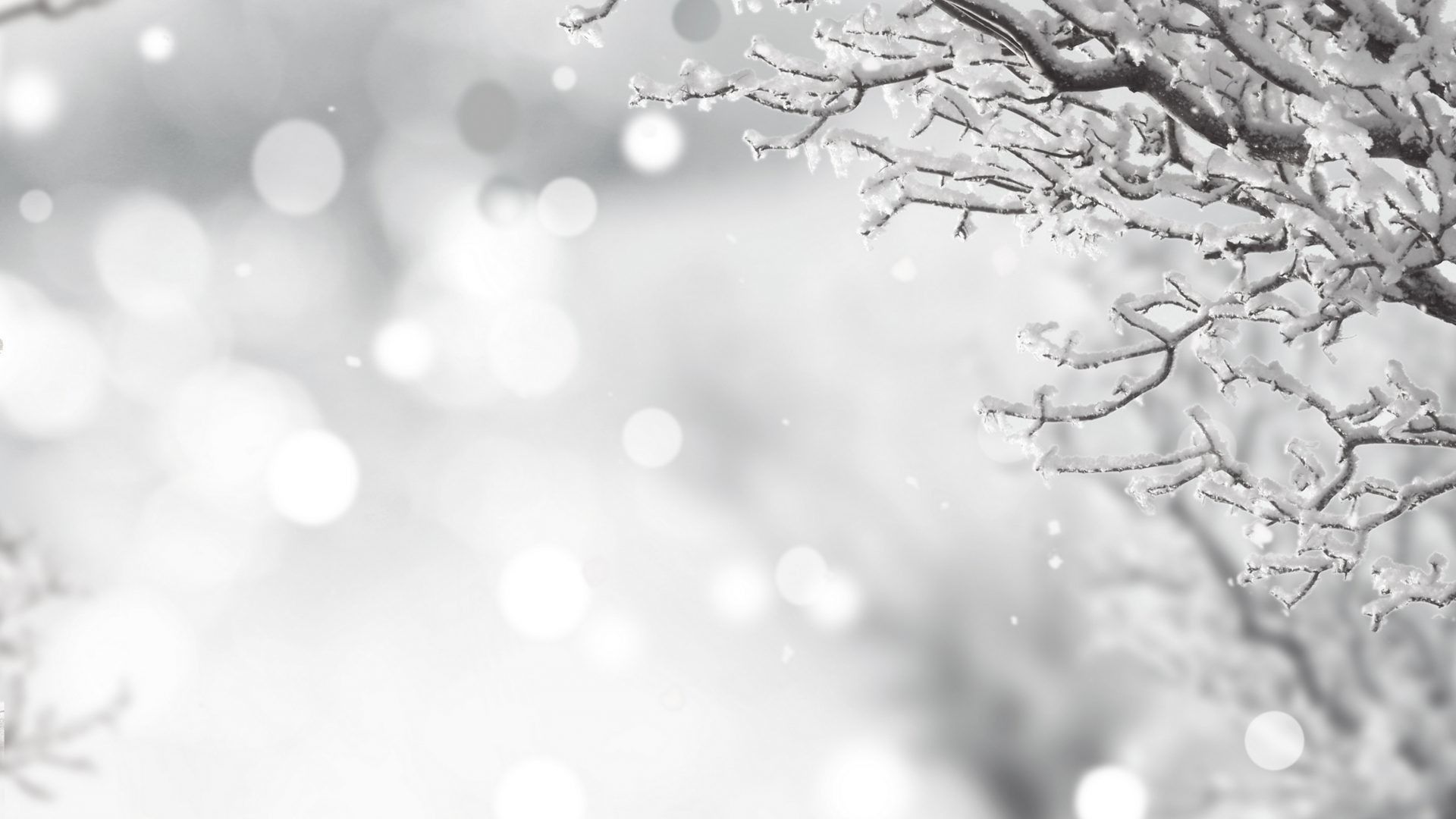 Black and White Christmas Wallpaper, HD Black and White Christmas Background on WallpaperBat
