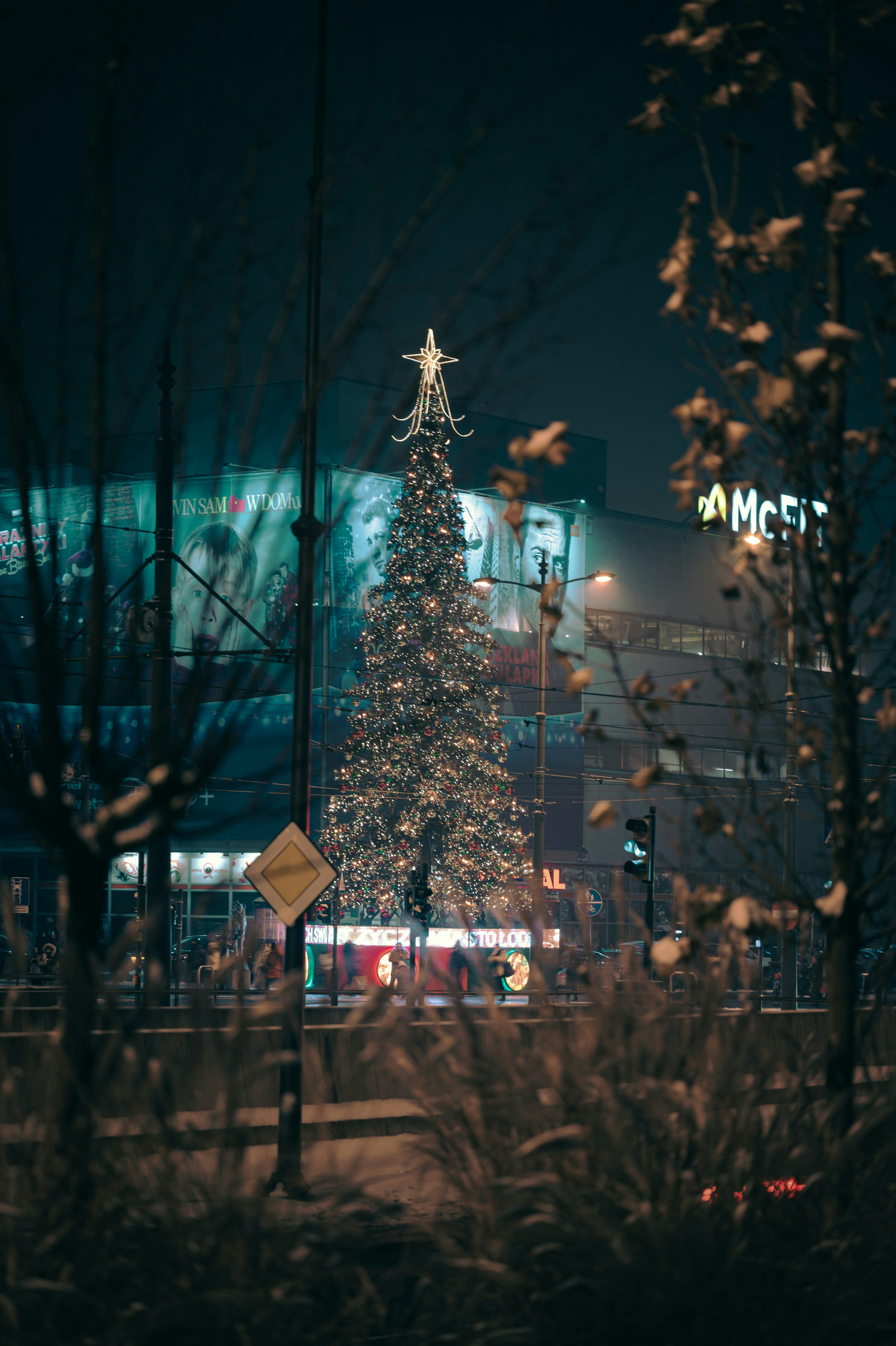 A christmas tree with lights photo