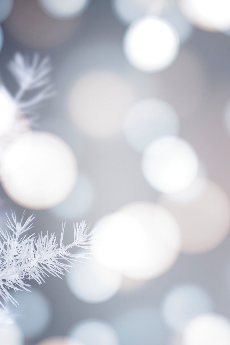 Frosty tree white bokeh lights