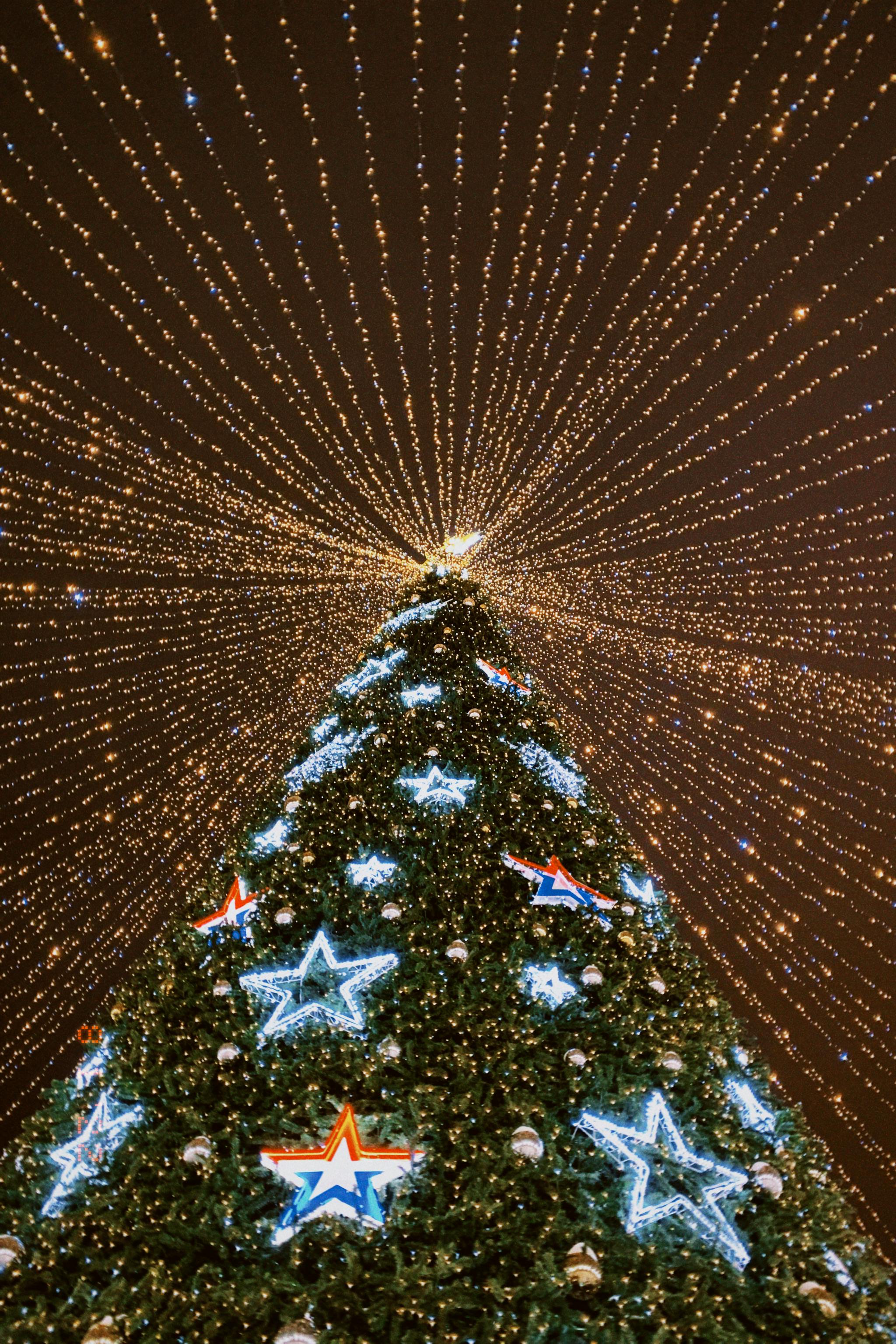 Christmas Tree with Light Ornaments and String Lights Decoration · Free