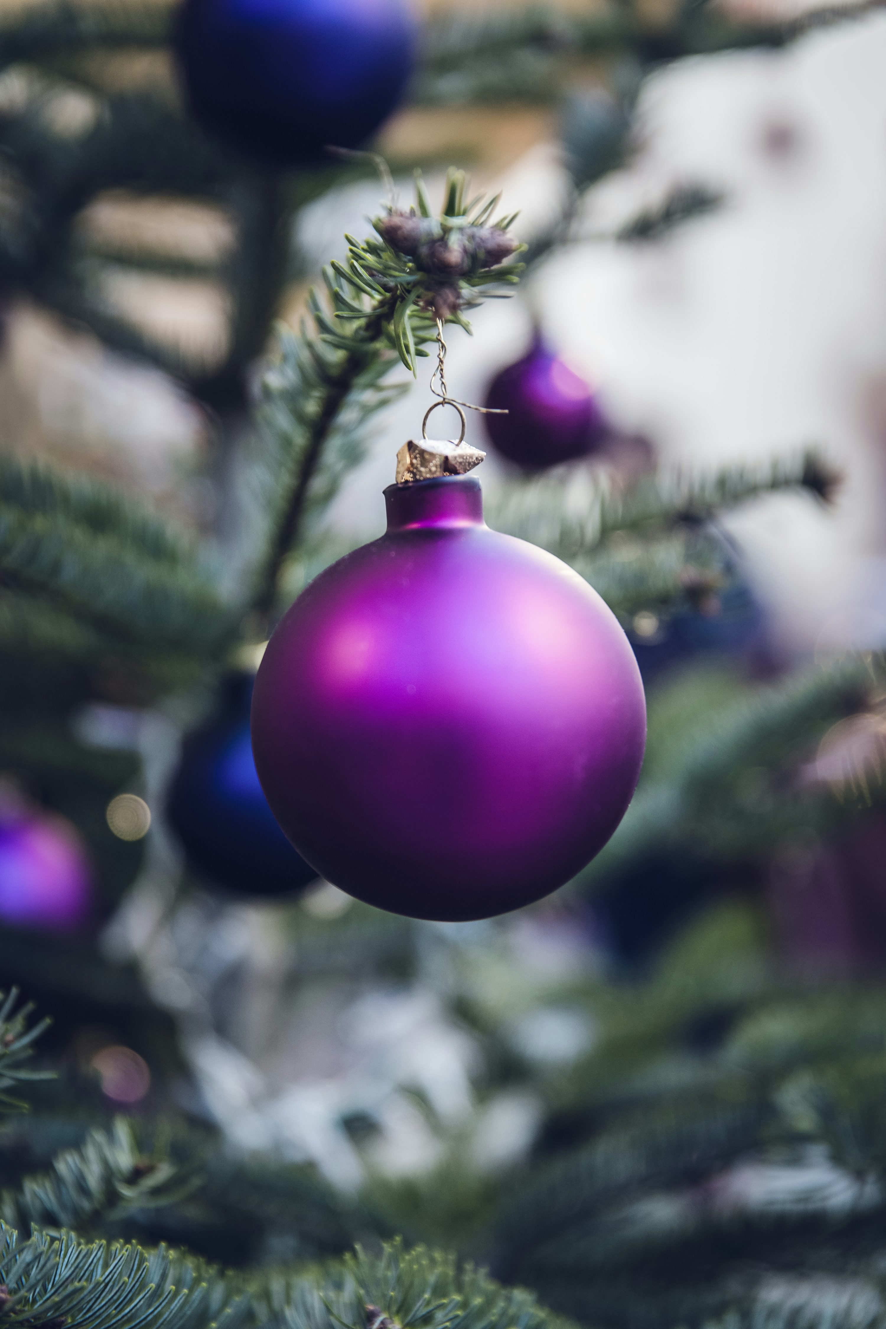 Purple Christmas ball hang on Christmas tree photo