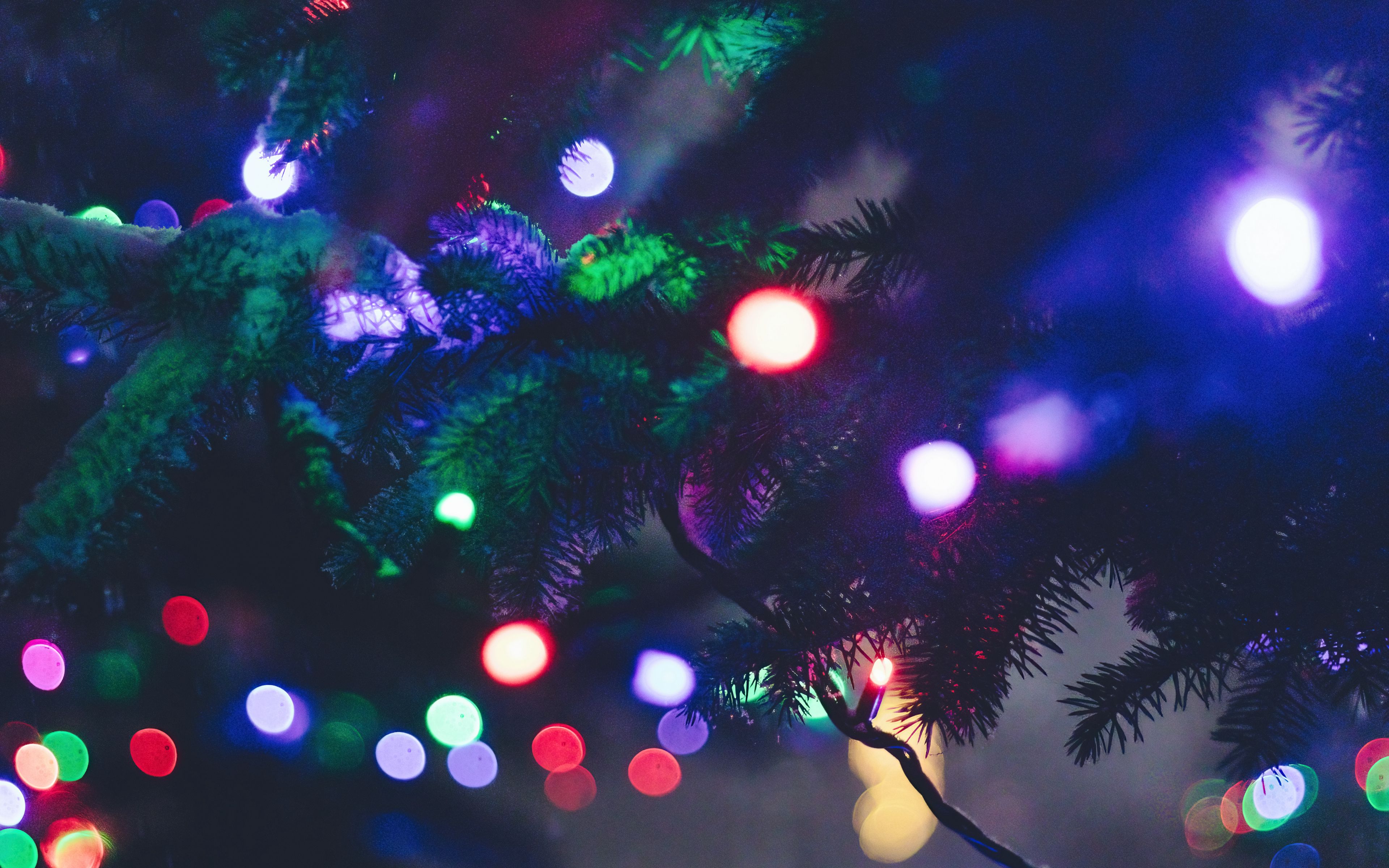 Download wallpaper 3840x2400 christmas tree, garland, lights, glare, new year, christmas 4k ultra HD 16:10 HD background