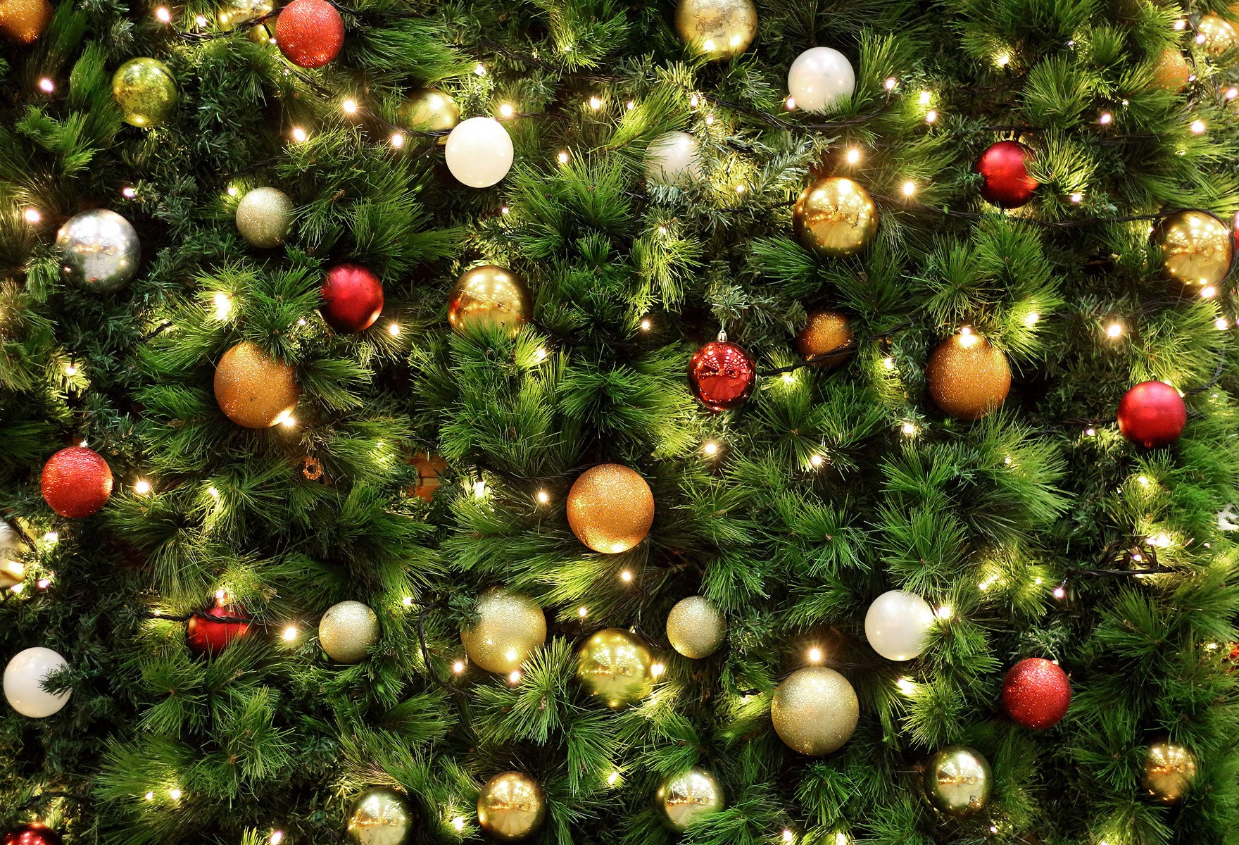 Hot Sale Fox Christmas Tree Balls Lights Vinyl Fabric Photo Backdrop